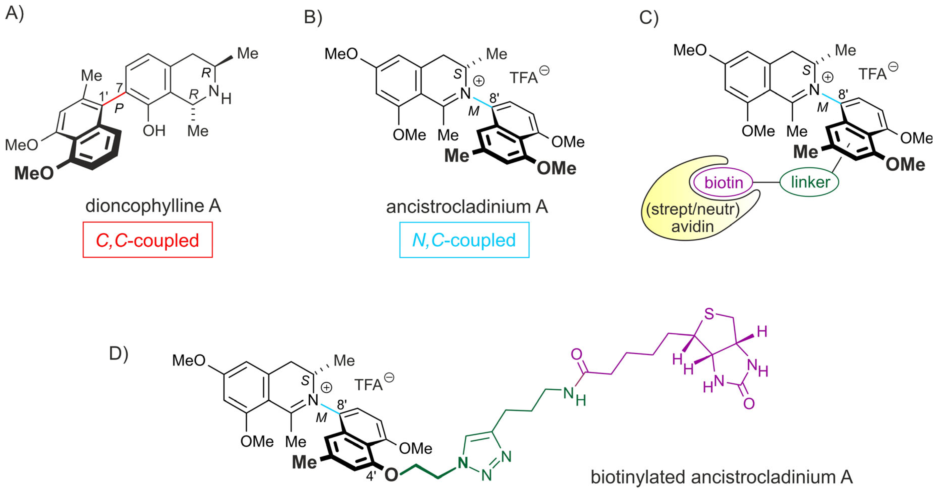 Pharmaceuticals 16 01181 g001