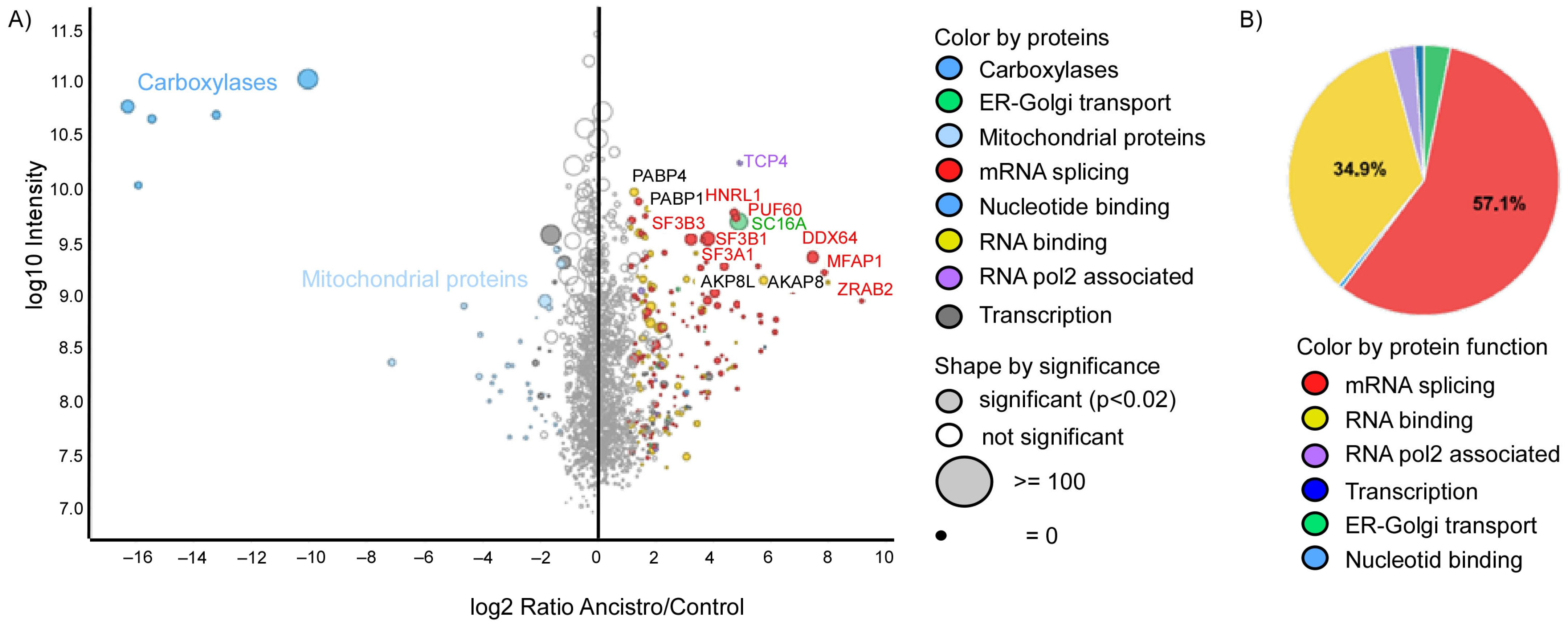 Pharmaceuticals 16 01181 g003