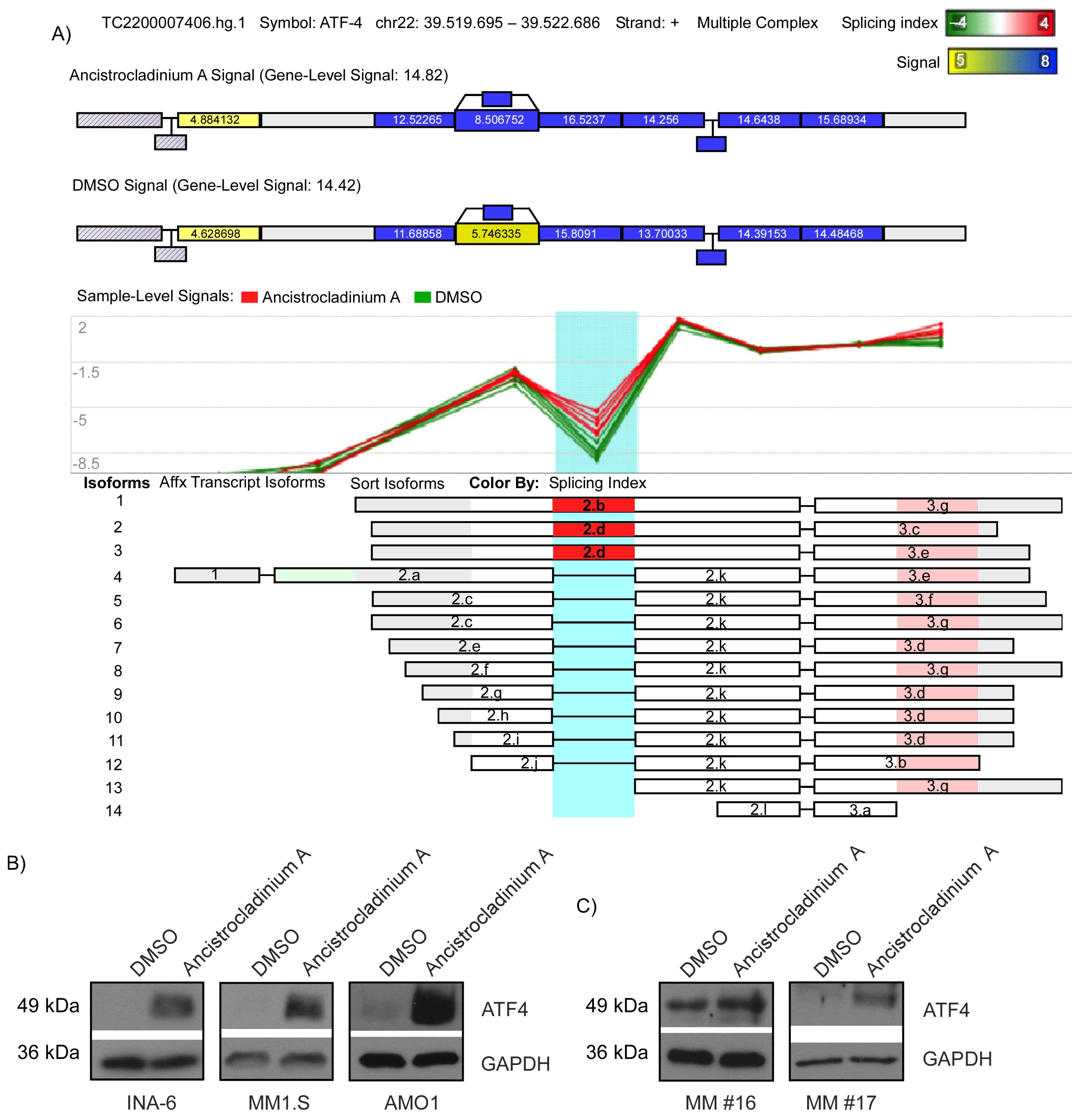 Pharmaceuticals 16 01181 g004