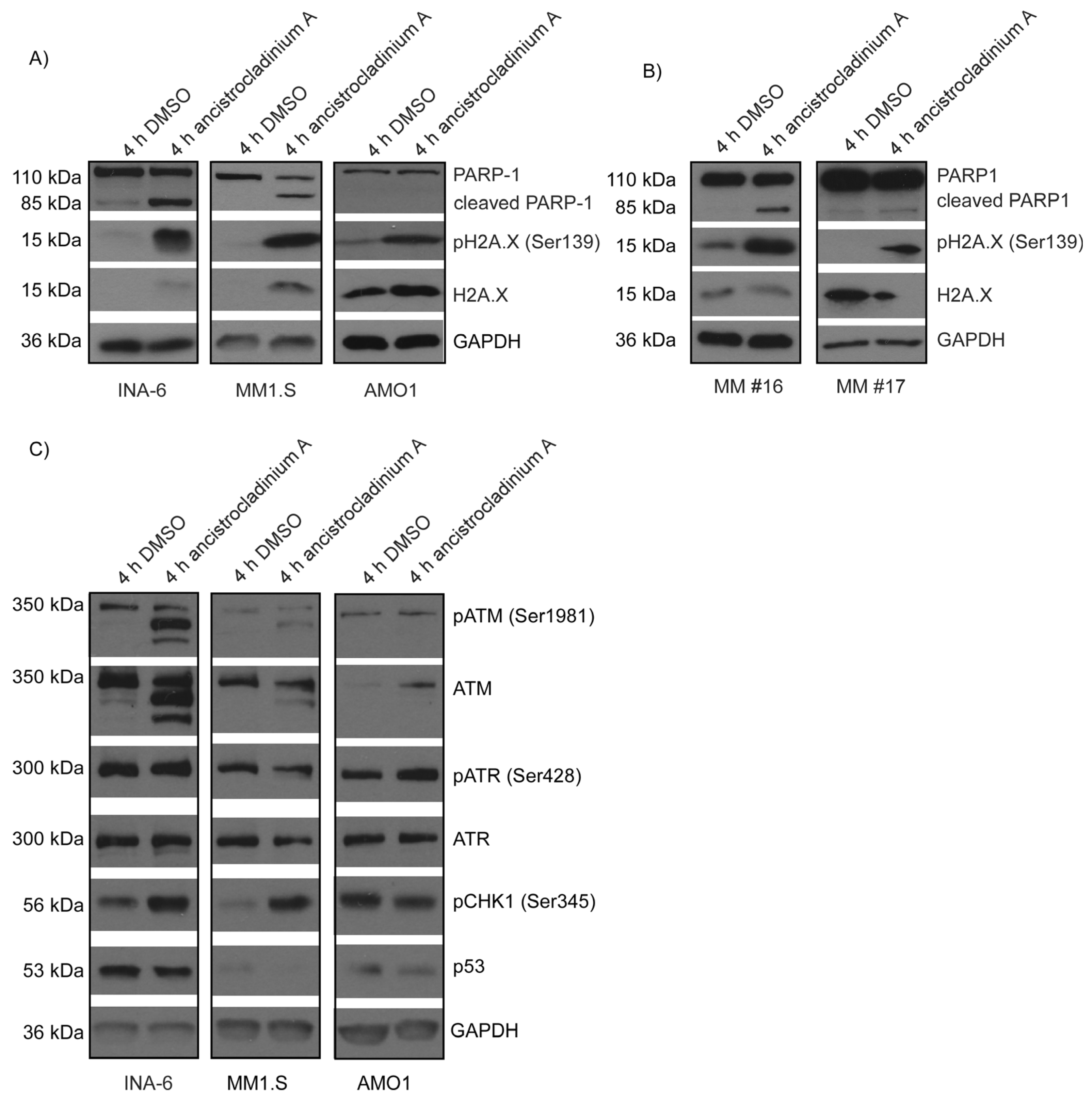 Pharmaceuticals 16 01181 g005