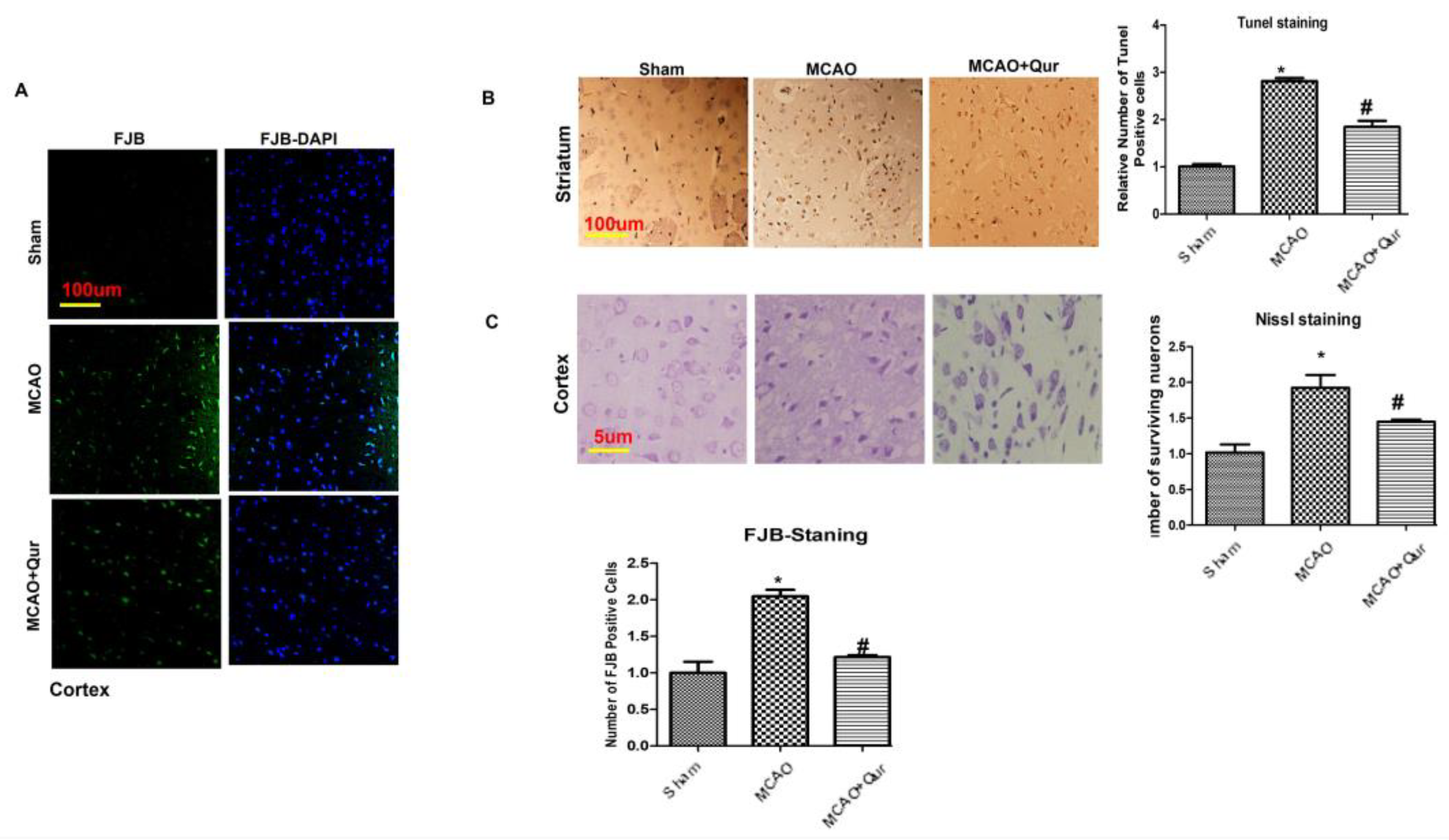 Pharmaceuticals 16 01182 g001