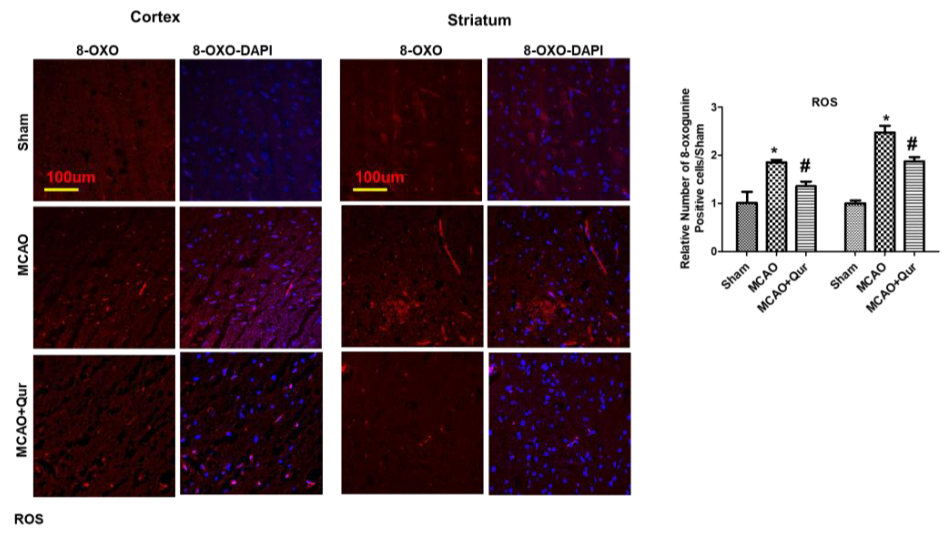 Pharmaceuticals 16 01182 g002