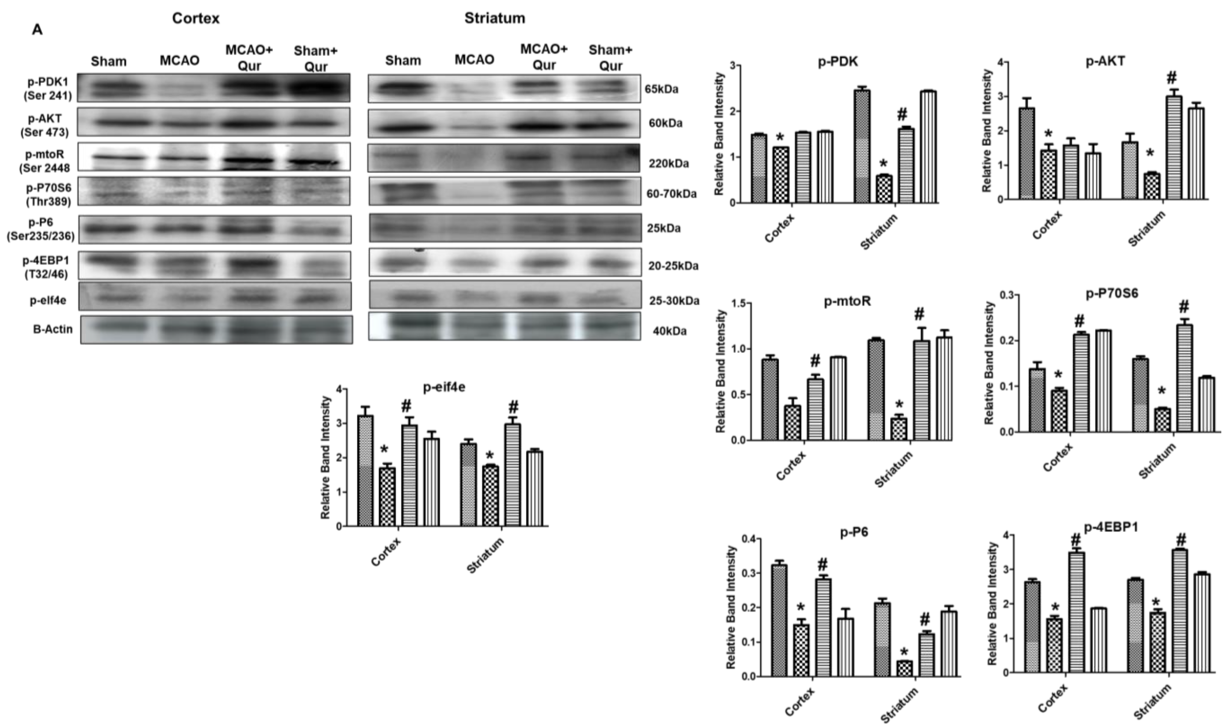 Pharmaceuticals 16 01182 g003a