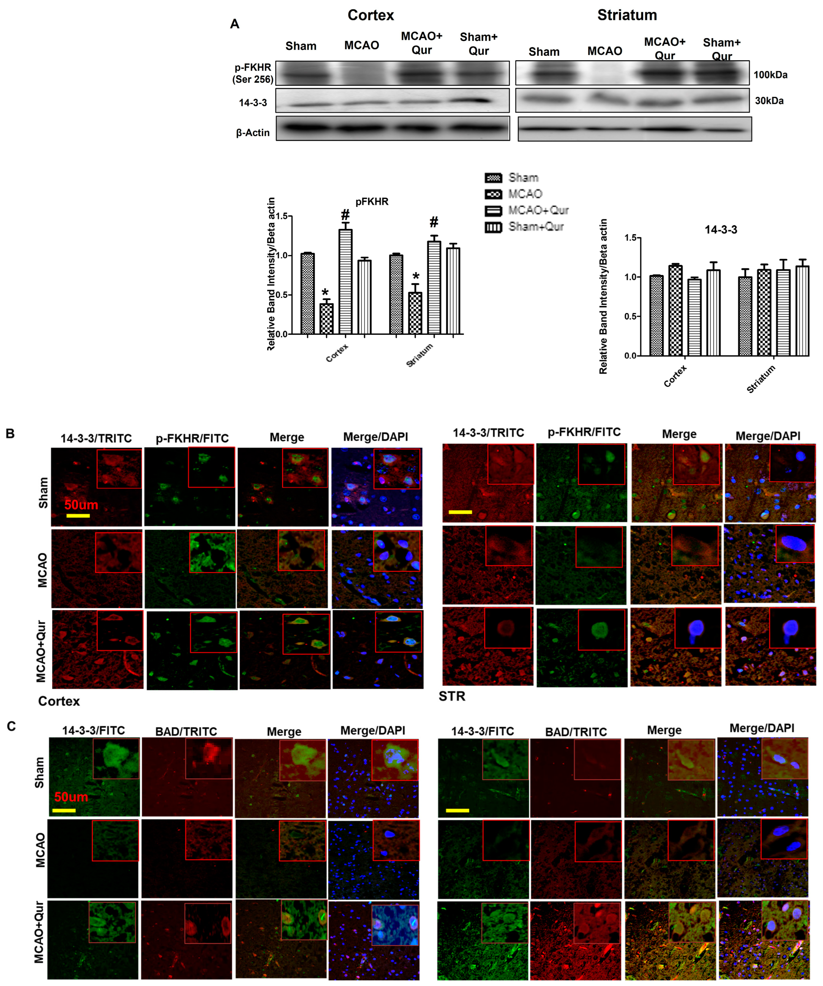Pharmaceuticals 16 01182 g004