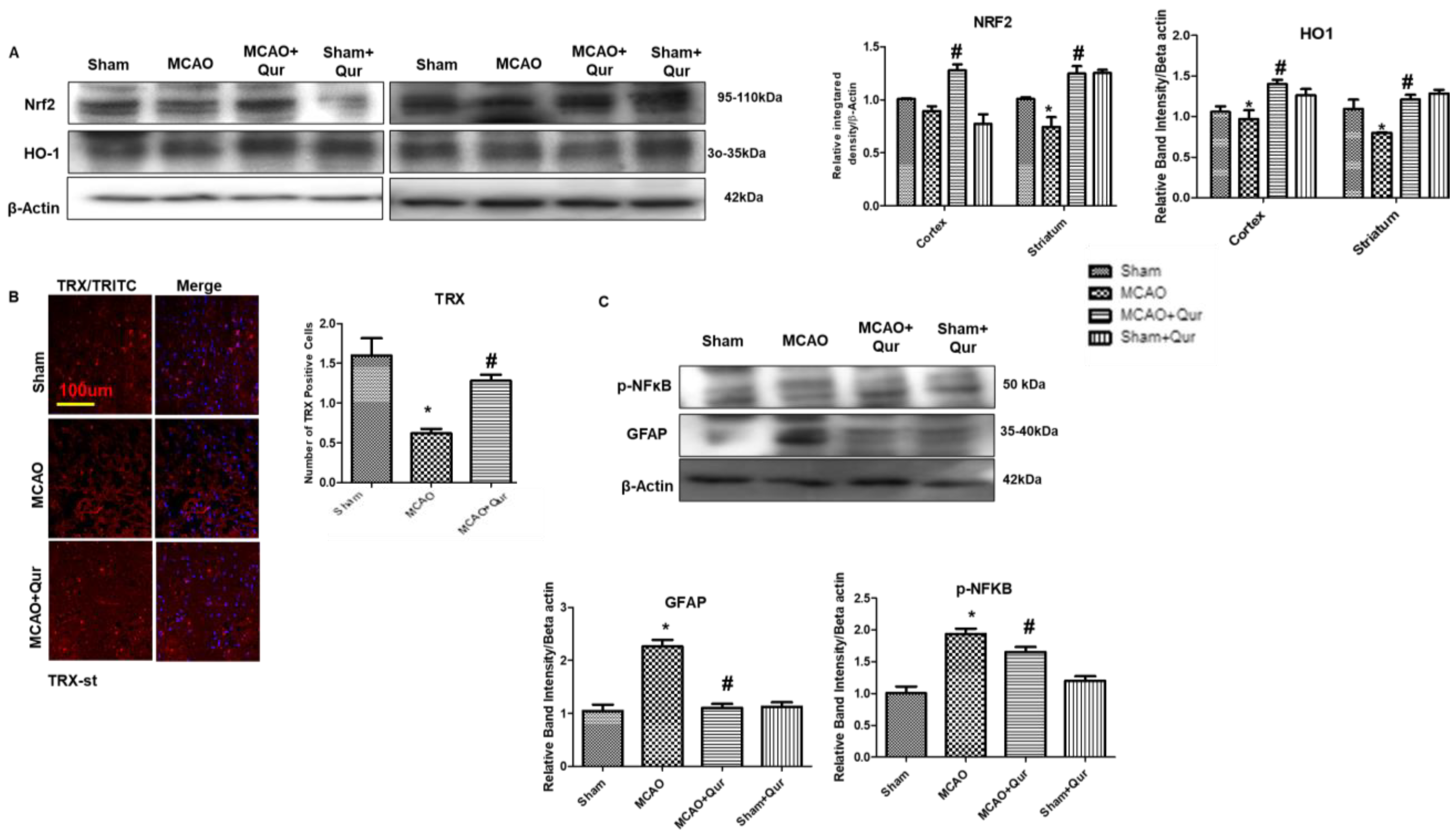 Pharmaceuticals 16 01182 g005