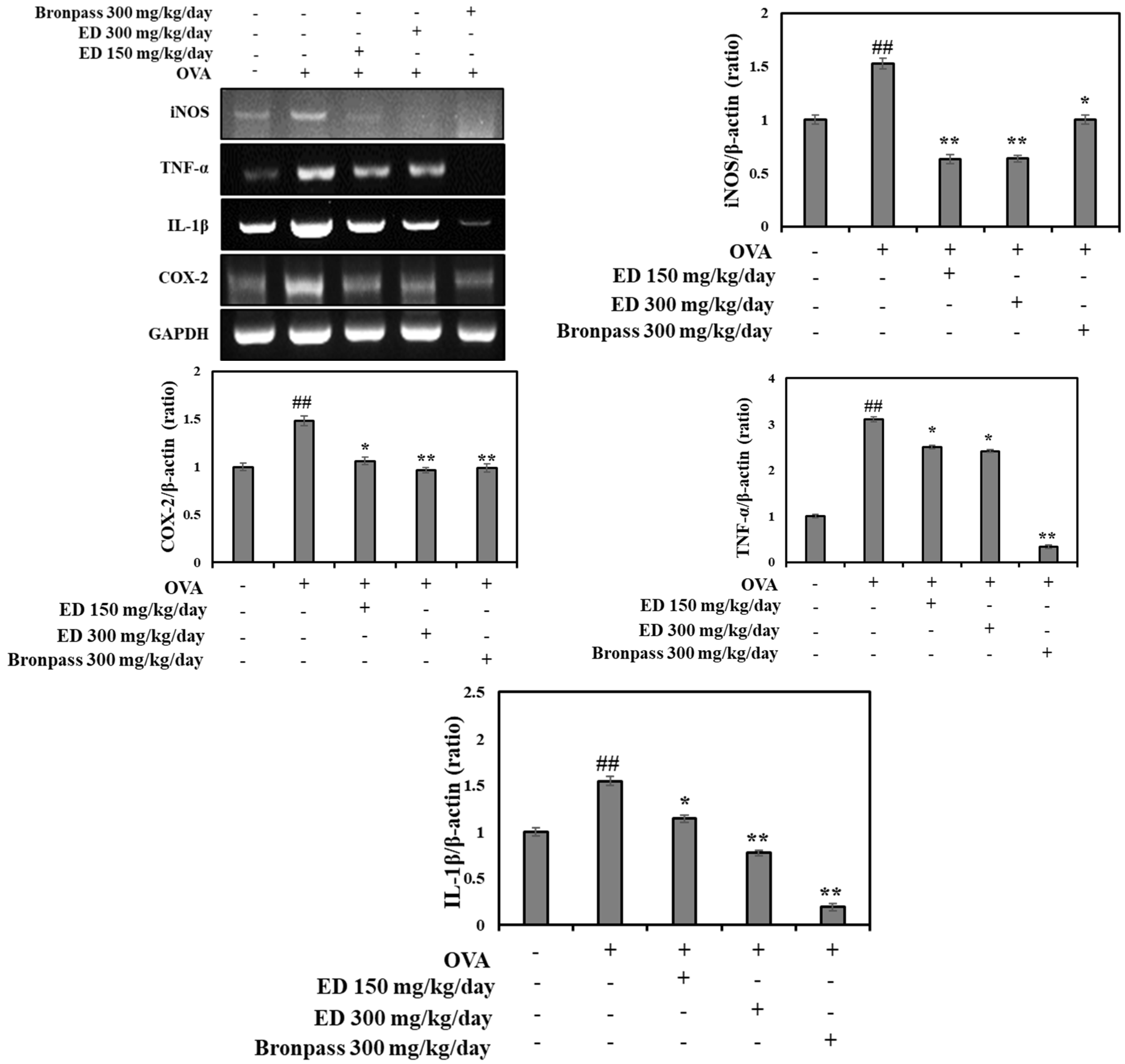 Pharmaceuticals 16 01185 g007