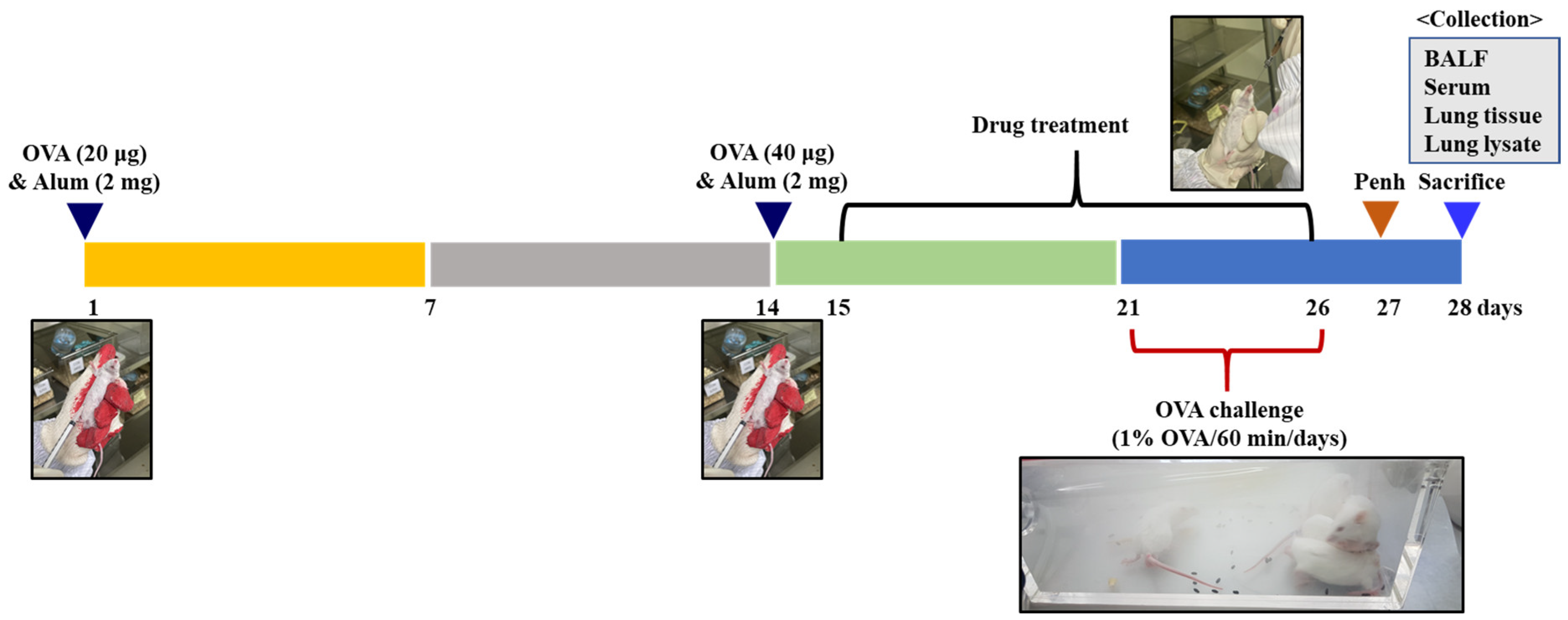 Pharmaceuticals 16 01185 g008