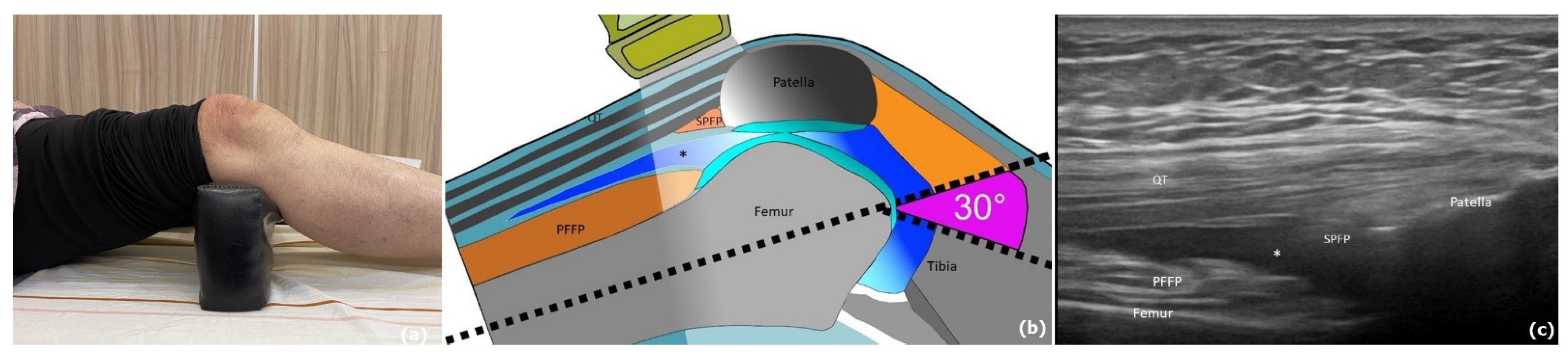 Pharmaceuticals 16 01186 g002