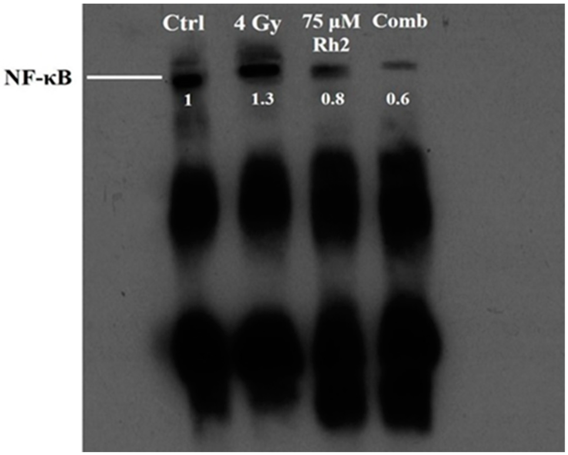 Pharmaceuticals 16 01188 g004 Pharmaceuticals 16 01188 g004