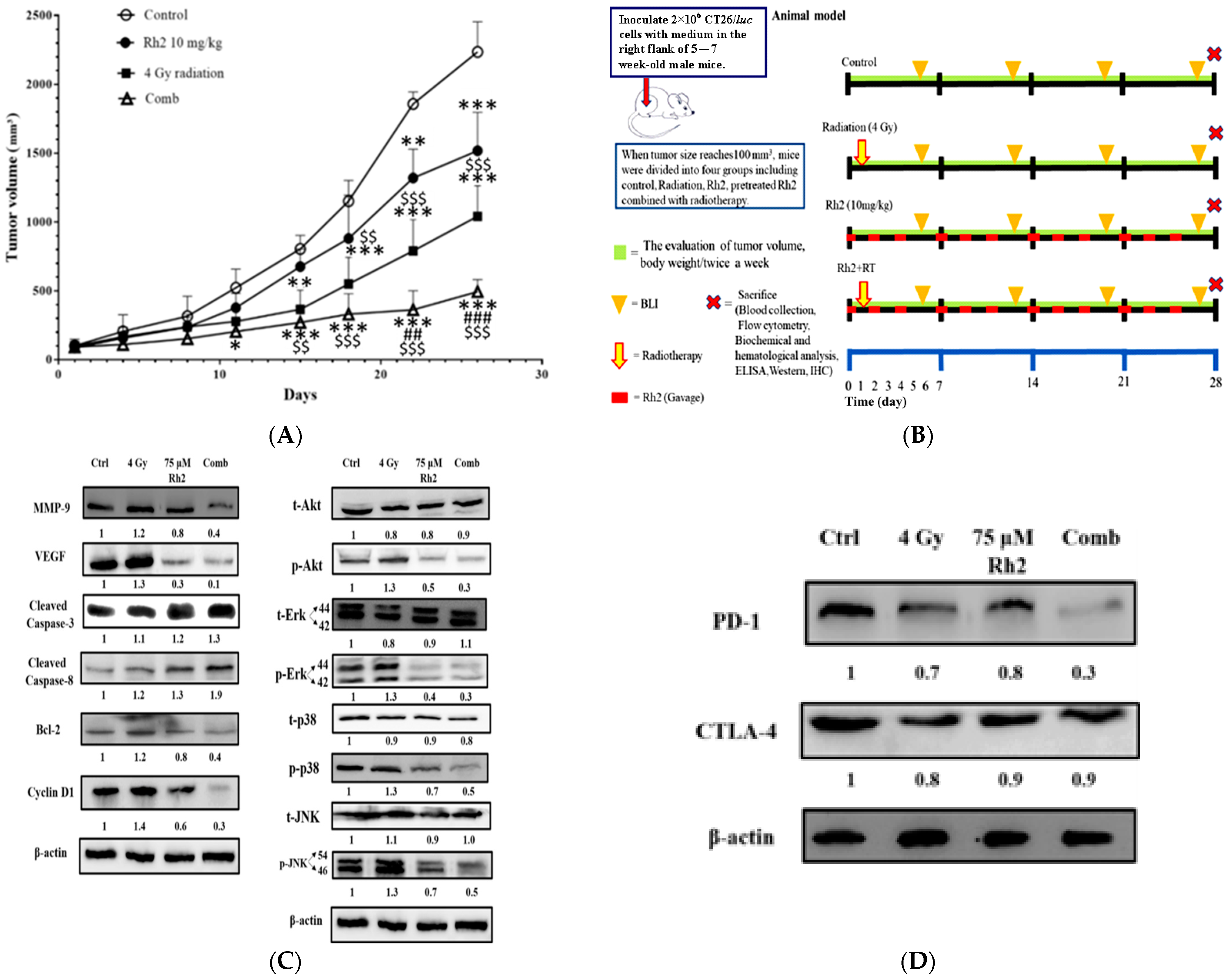 Pharmaceuticals 16 01188 g006 Pharmaceuticals 16 01188 g006