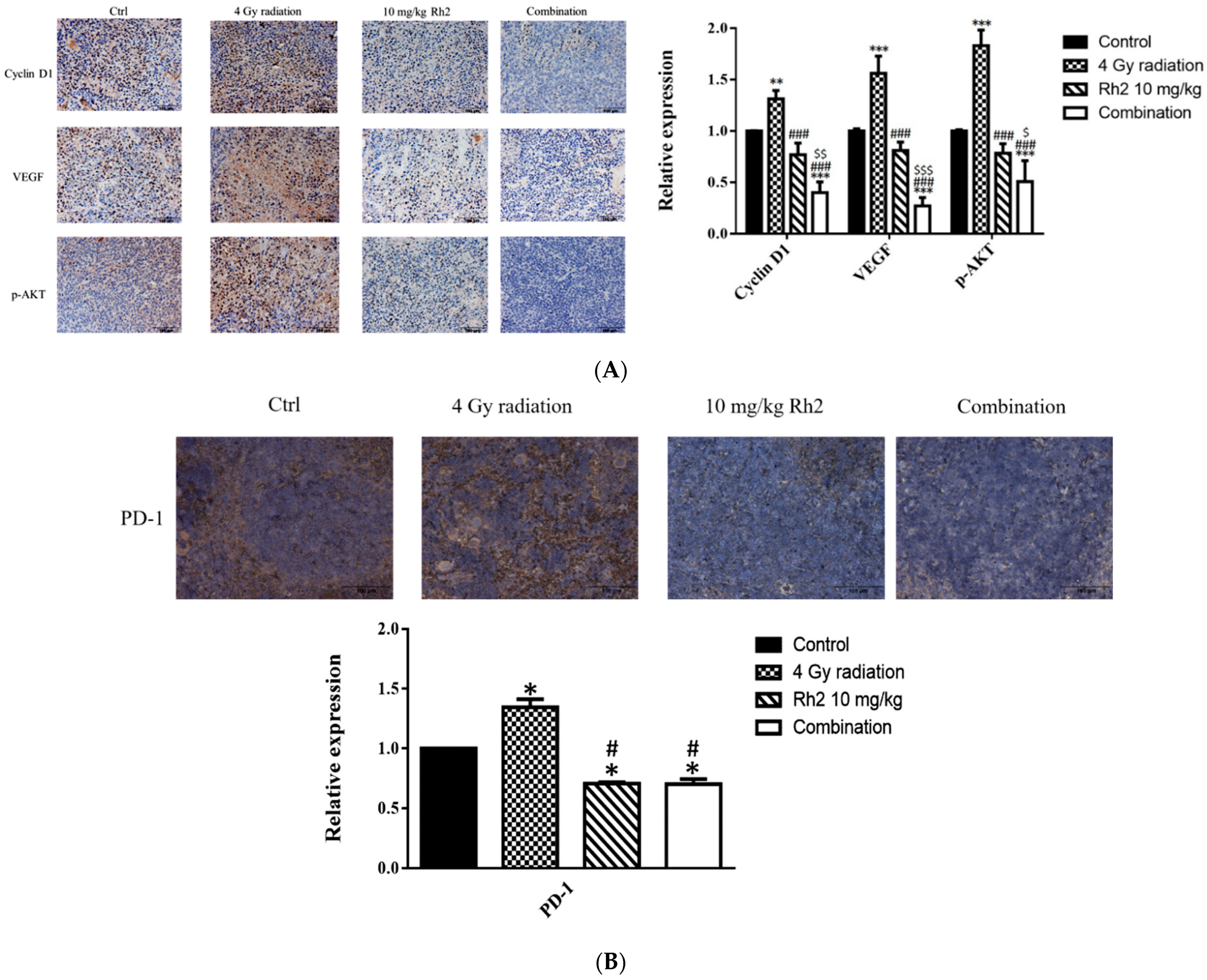 Pharmaceuticals 16 01188 g009 Pharmaceuticals 16 01188 g009