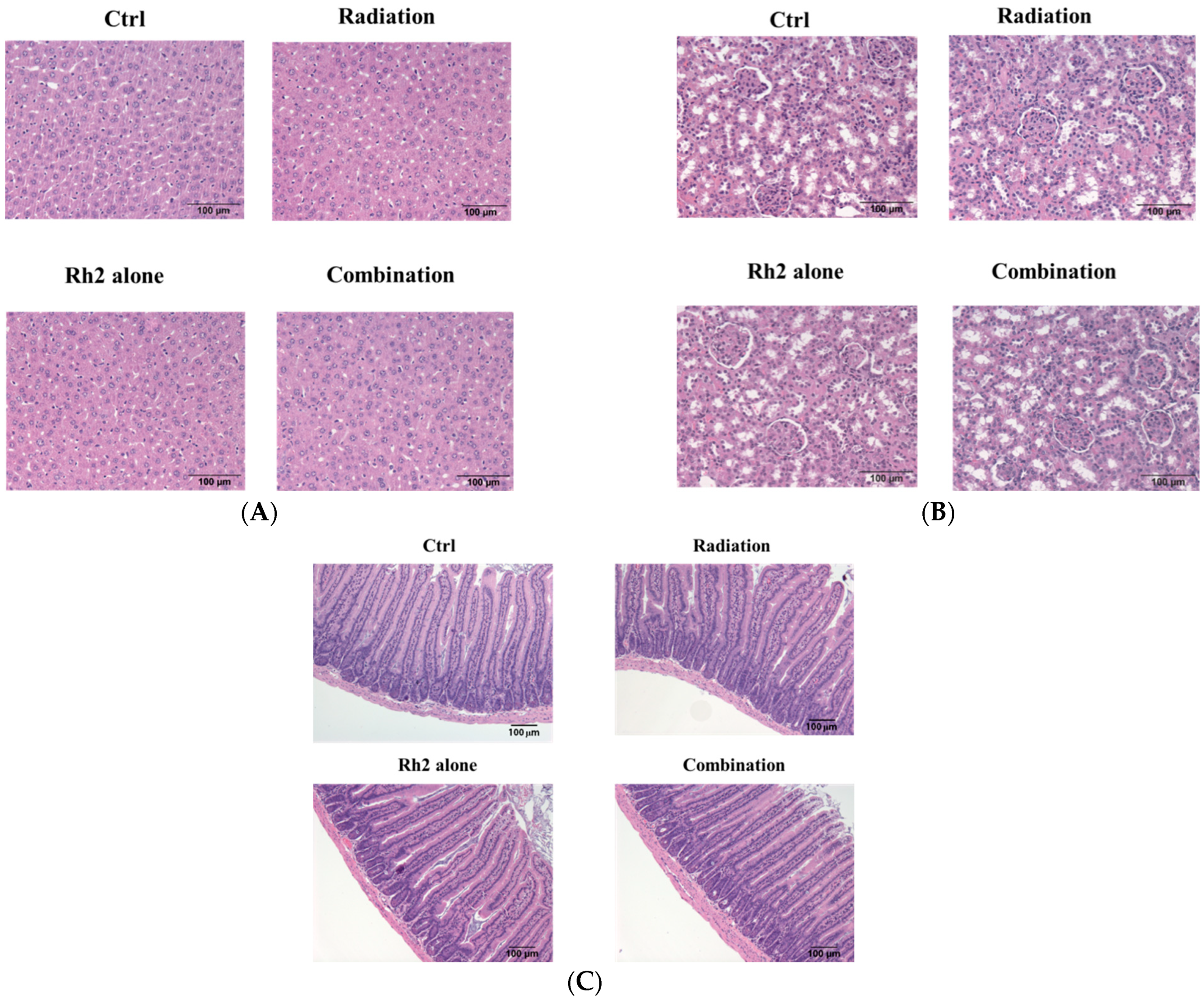 Pharmaceuticals 16 01188 g010 Pharmaceuticals 16 01188 g010