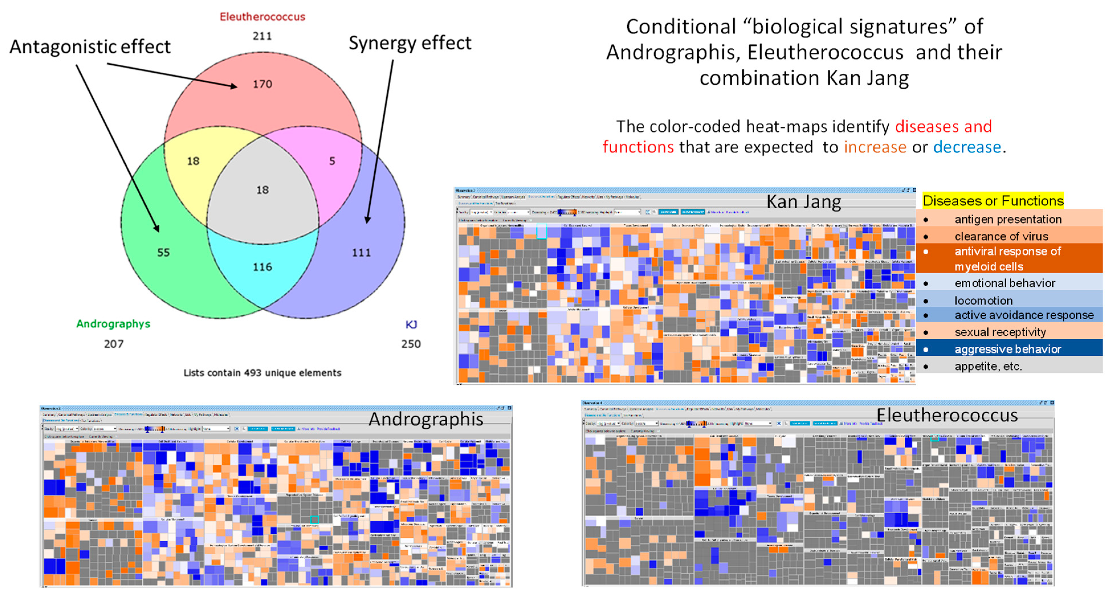 Pharmaceuticals 16 01196 g002