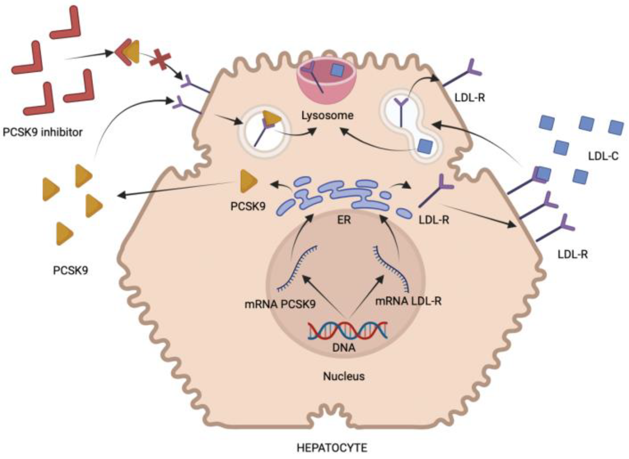 Pharmaceuticals 16 01197 g001