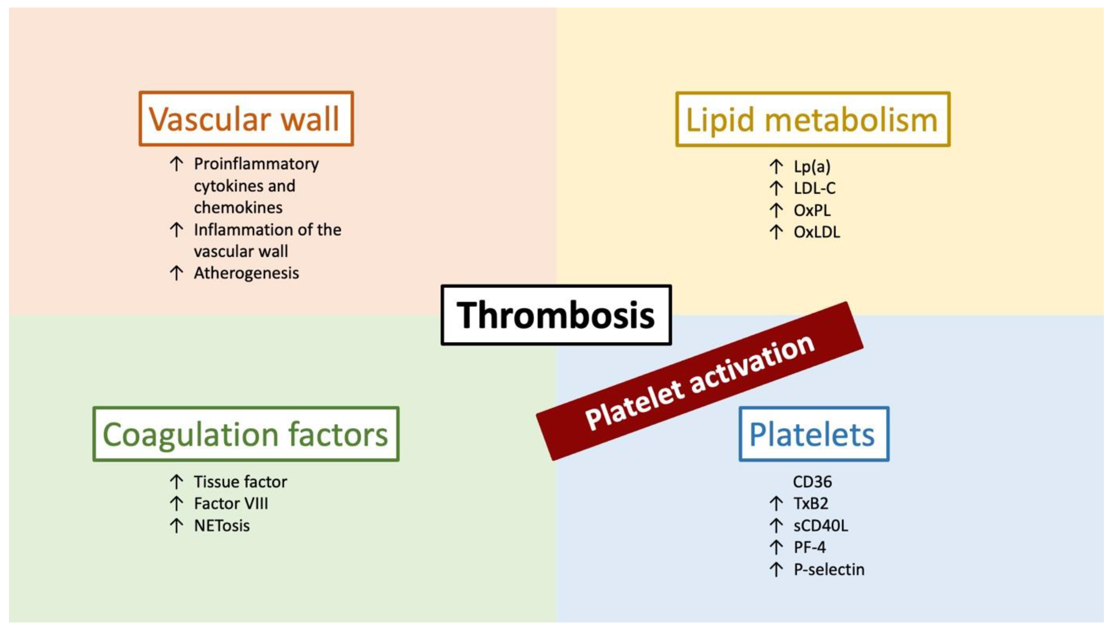 Pharmaceuticals 16 01197 g002