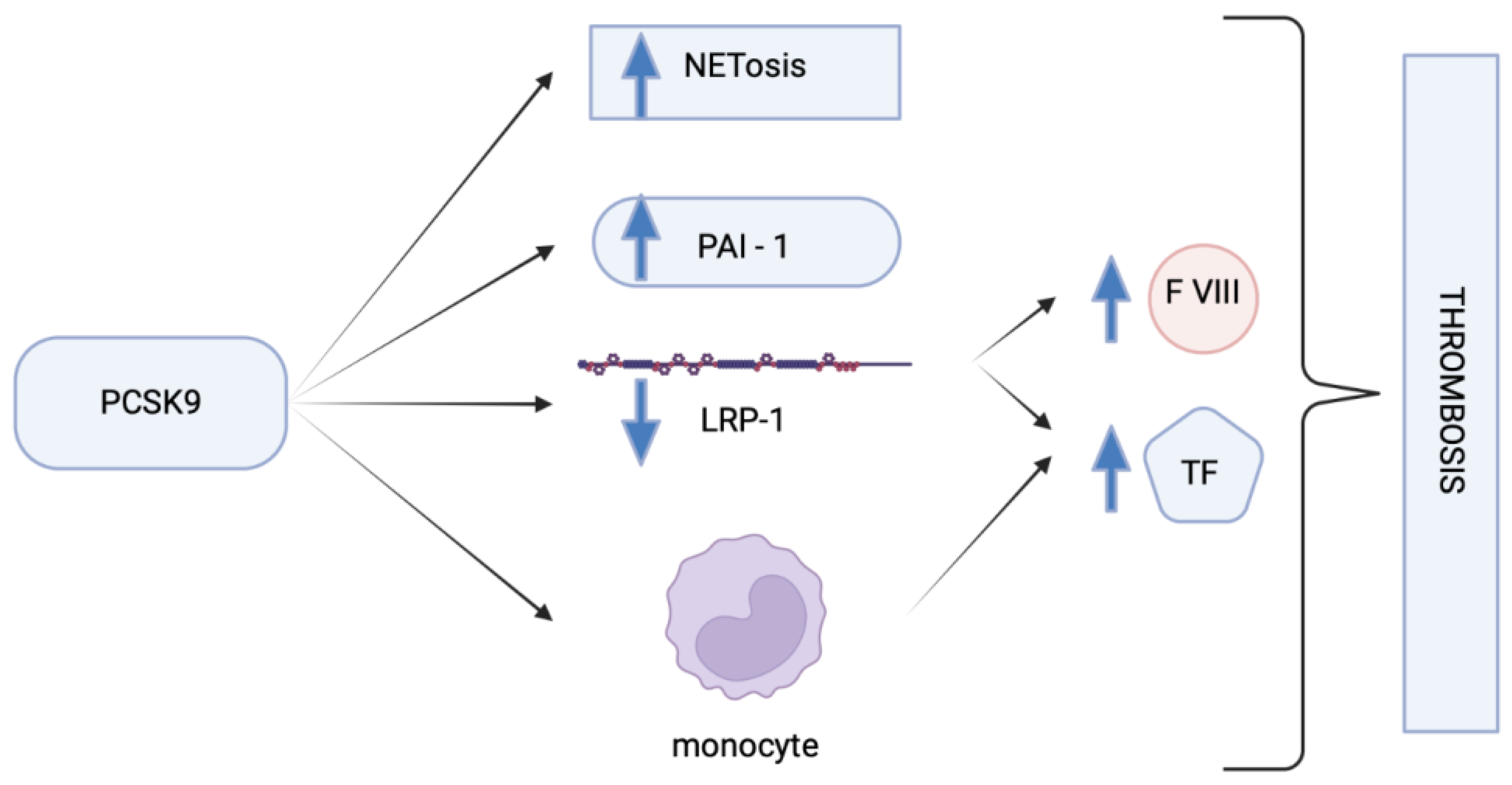 Pharmaceuticals 16 01197 g003