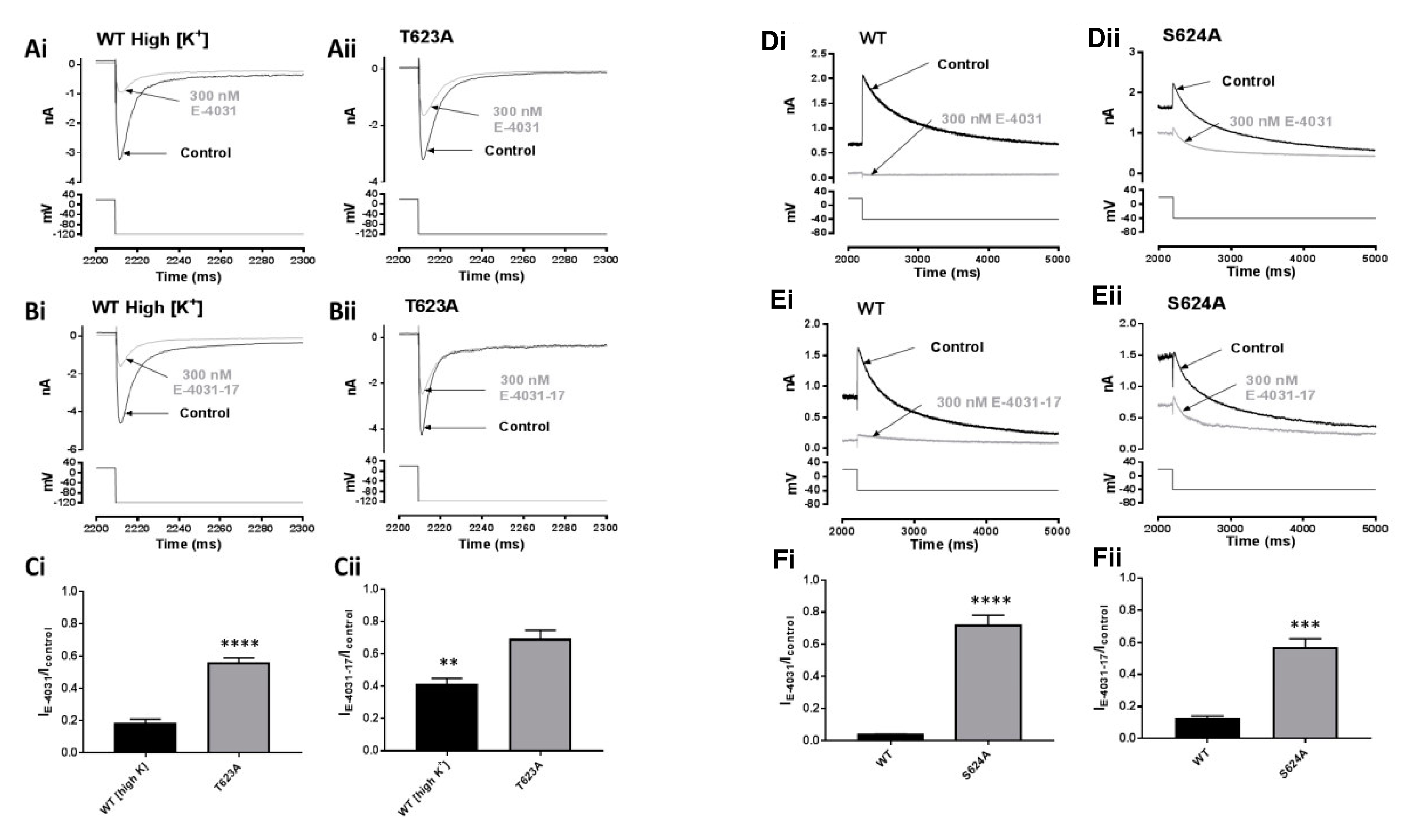 Pharmaceuticals 16 01204 g005 Pharmaceuticals 16 01204 g005