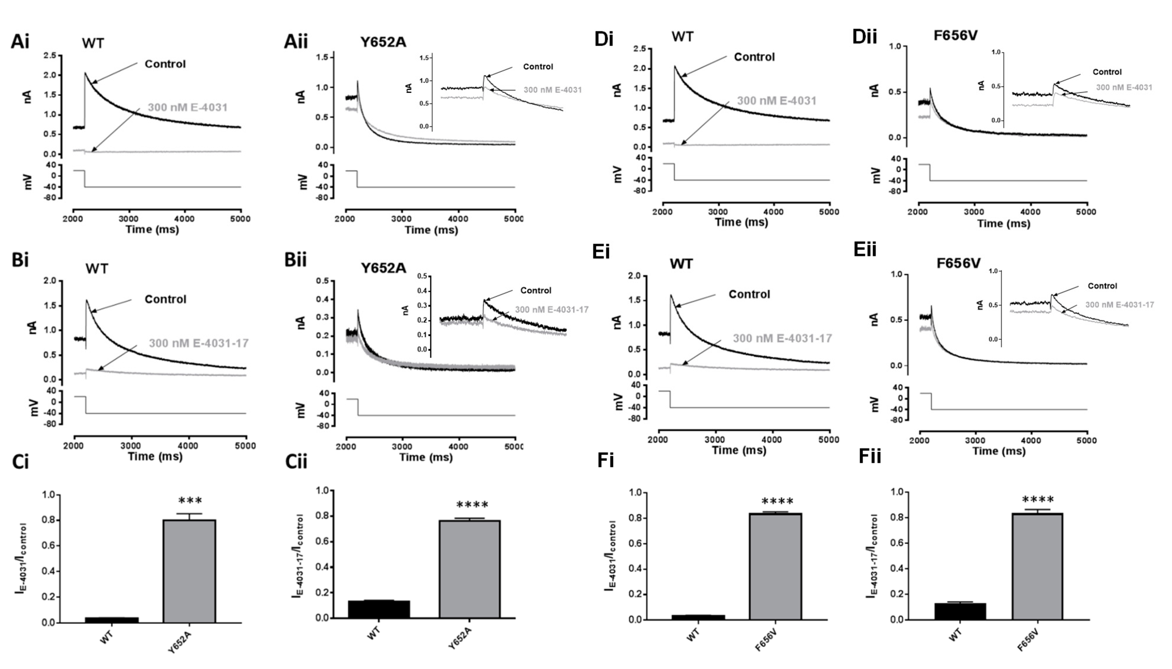 Pharmaceuticals 16 01204 g006 Pharmaceuticals 16 01204 g006