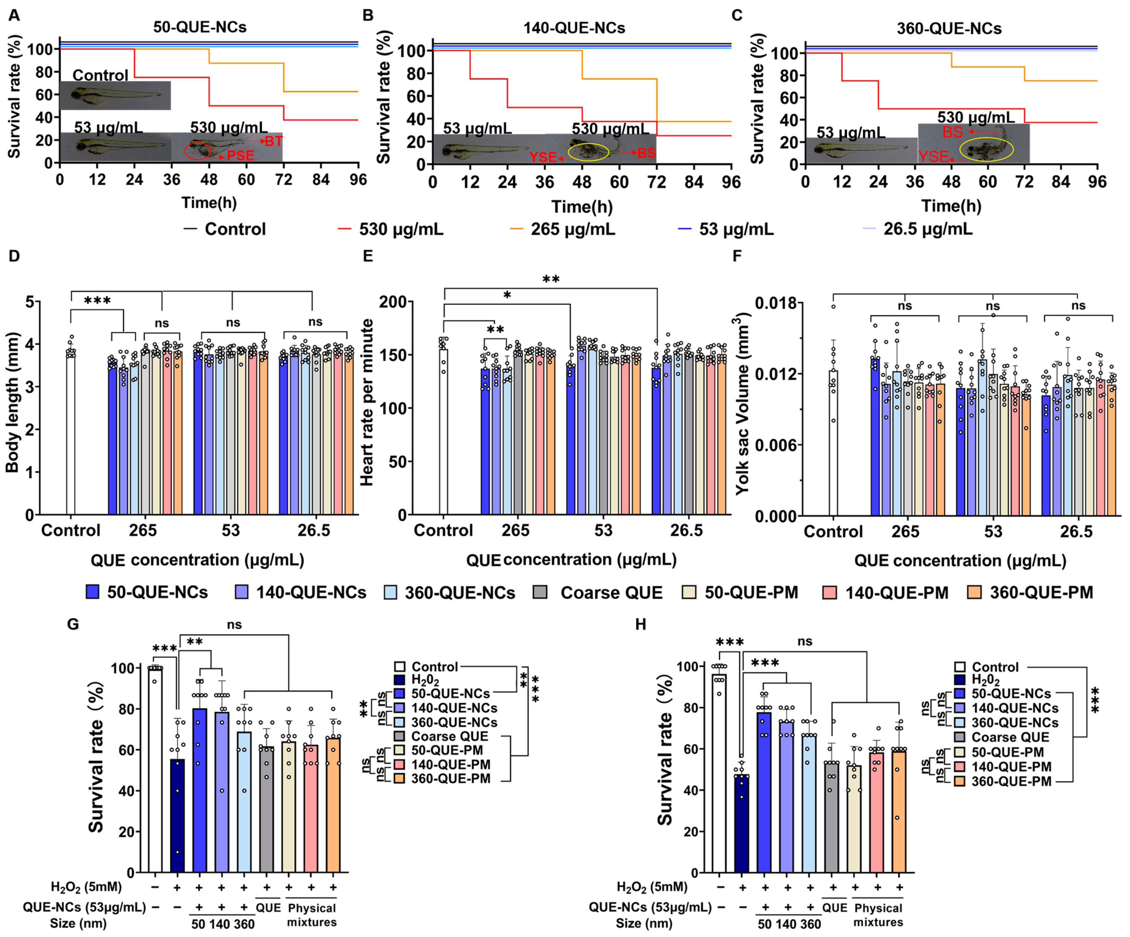 Pharmaceuticals 16 01209 g003 Pharmaceuticals 16 01209 g003