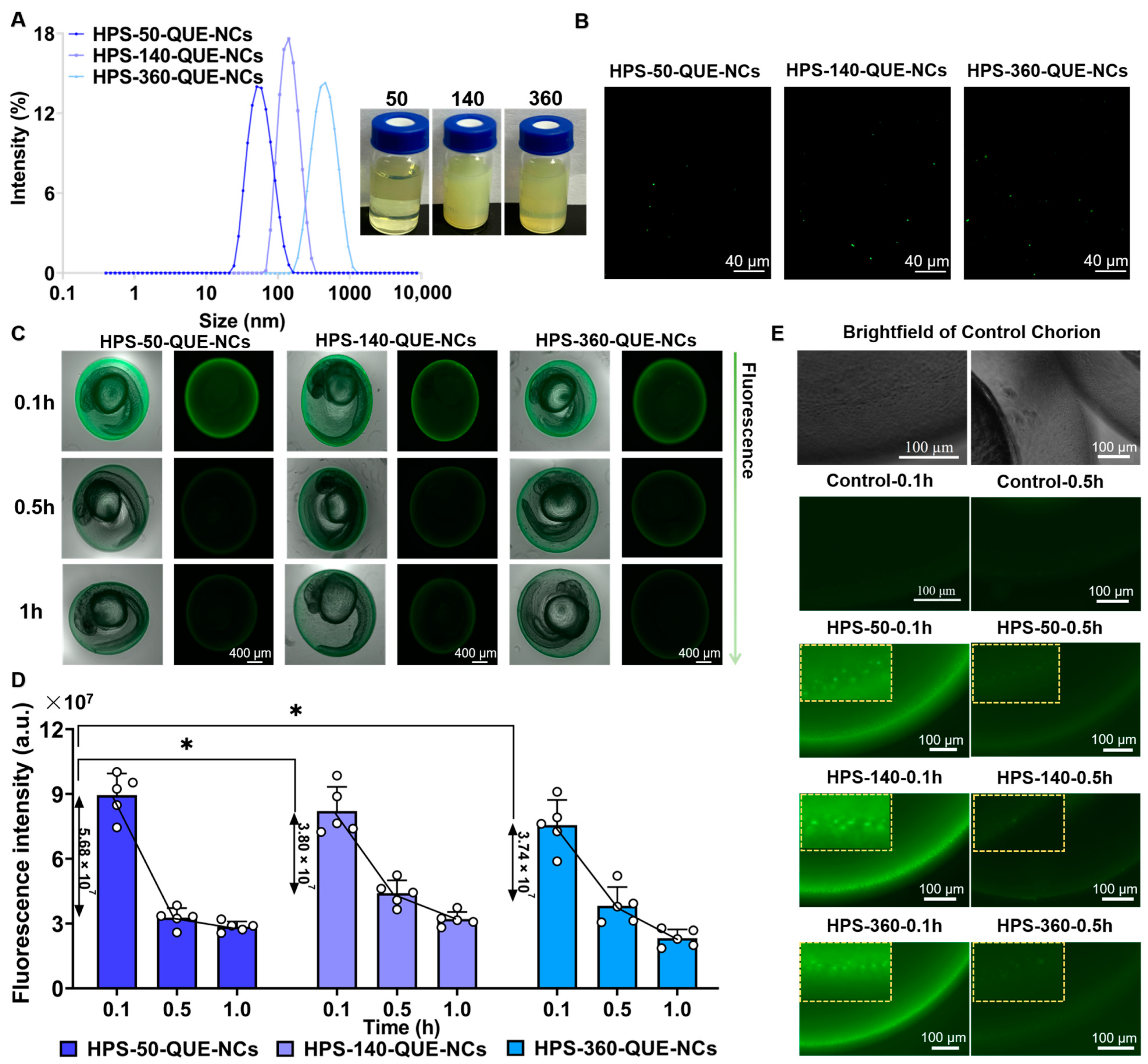 Pharmaceuticals 16 01209 g004 Pharmaceuticals 16 01209 g004