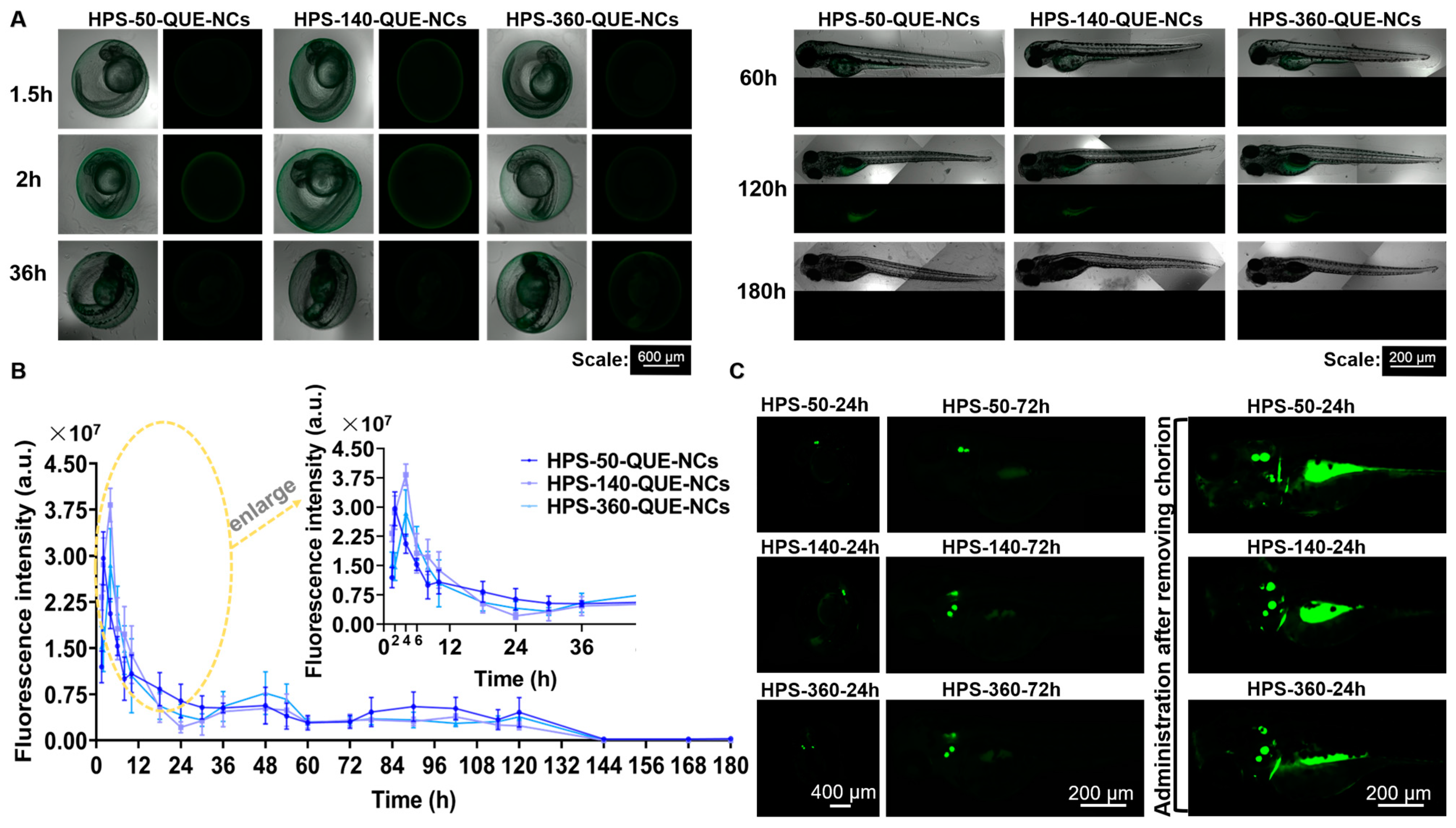 Pharmaceuticals 16 01209 g005 Pharmaceuticals 16 01209 g005