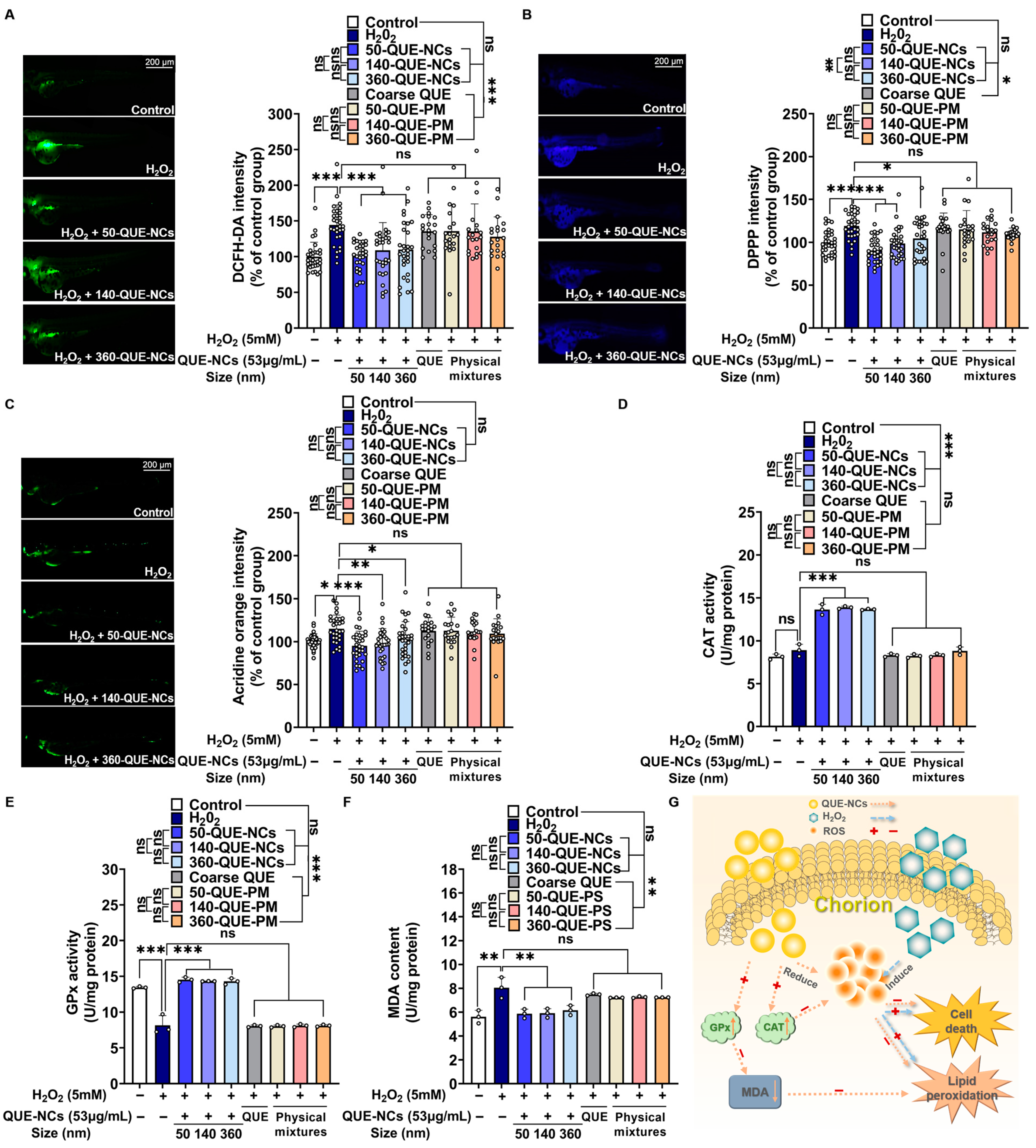 Pharmaceuticals 16 01209 g006 Pharmaceuticals 16 01209 g006