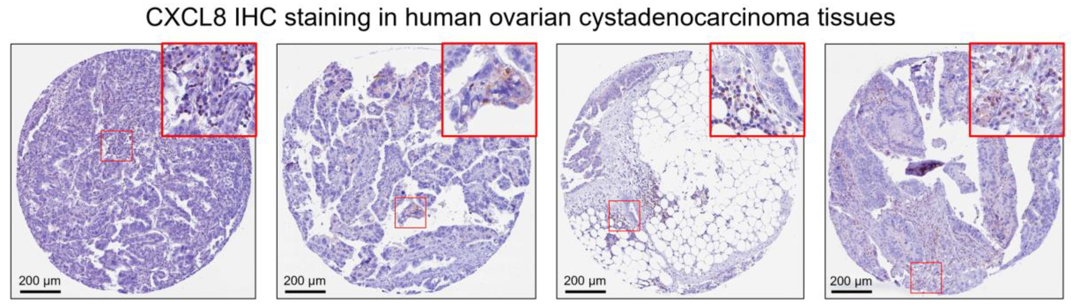 Pharmaceuticals 16 01210 g001