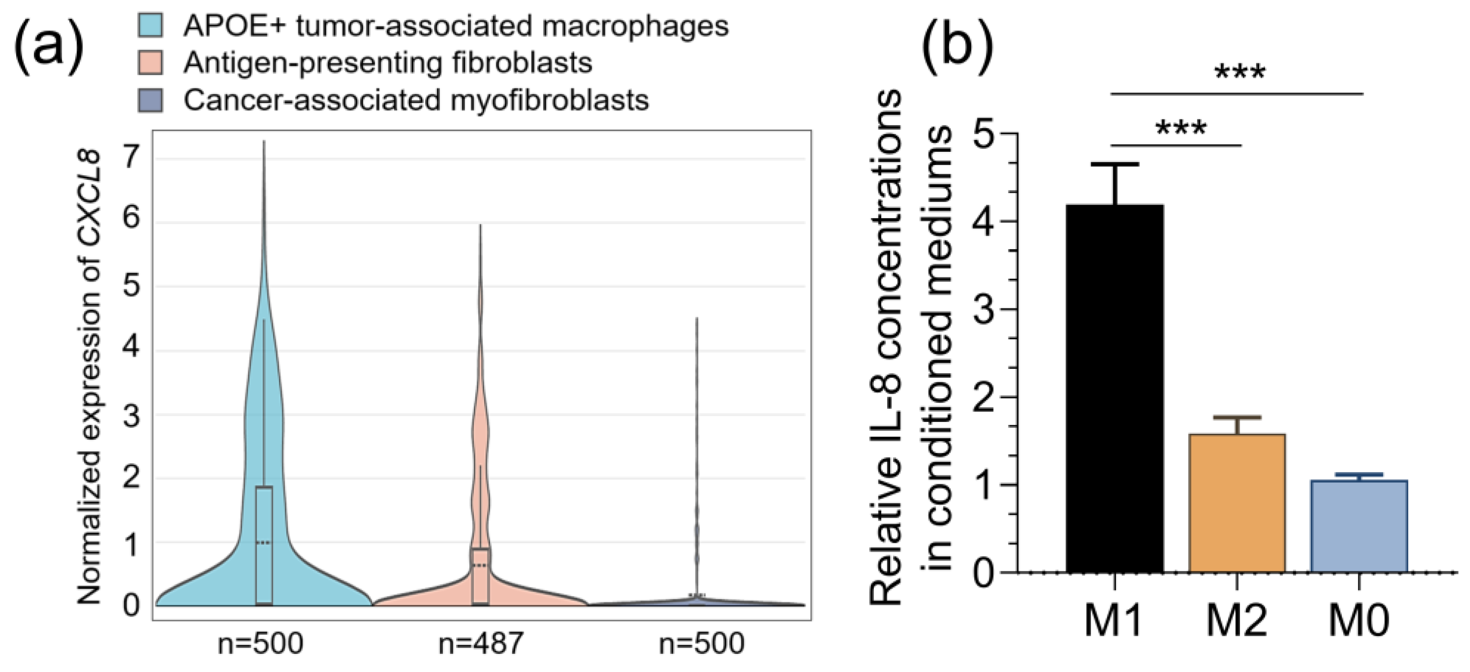 Pharmaceuticals 16 01210 g003