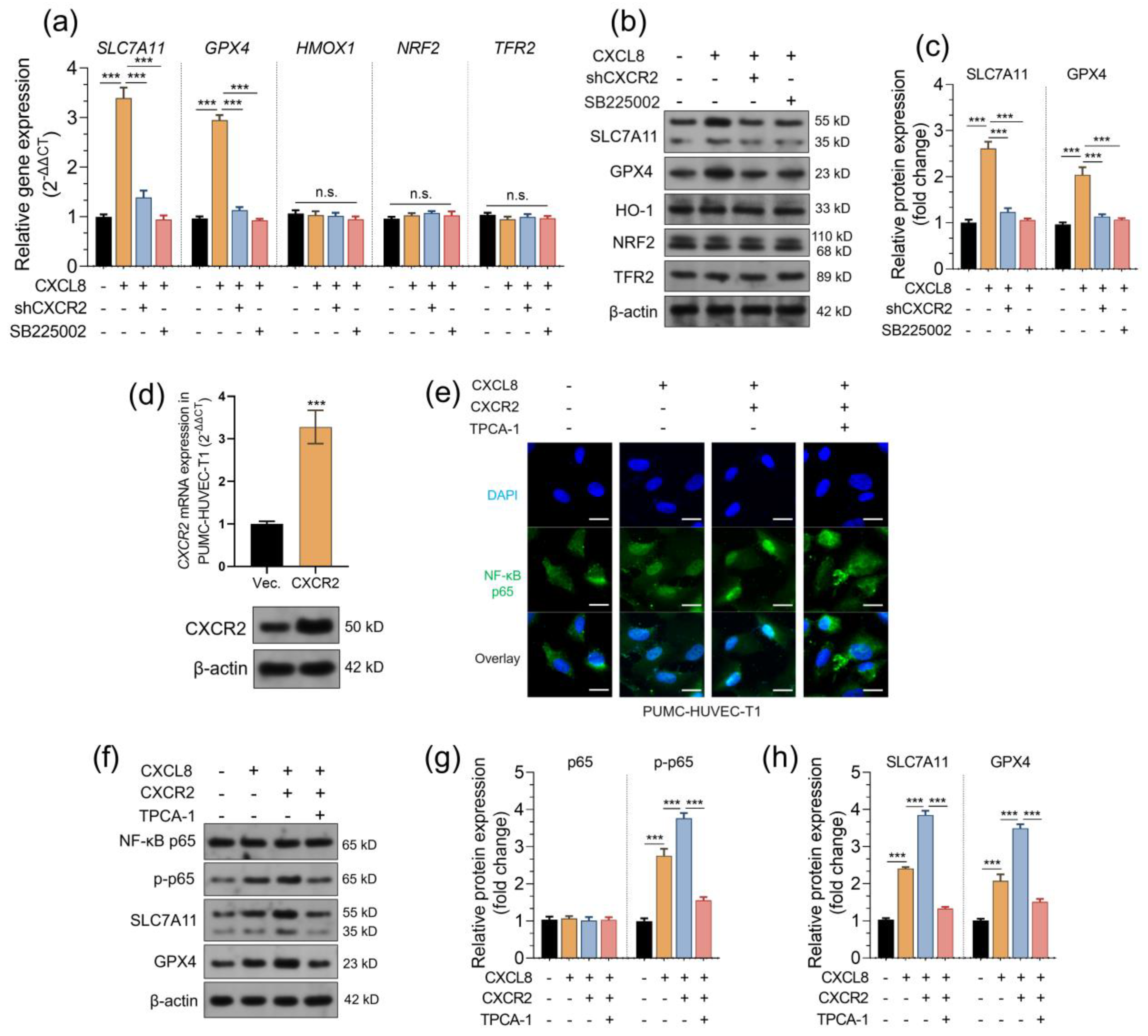 Pharmaceuticals 16 01210 g006