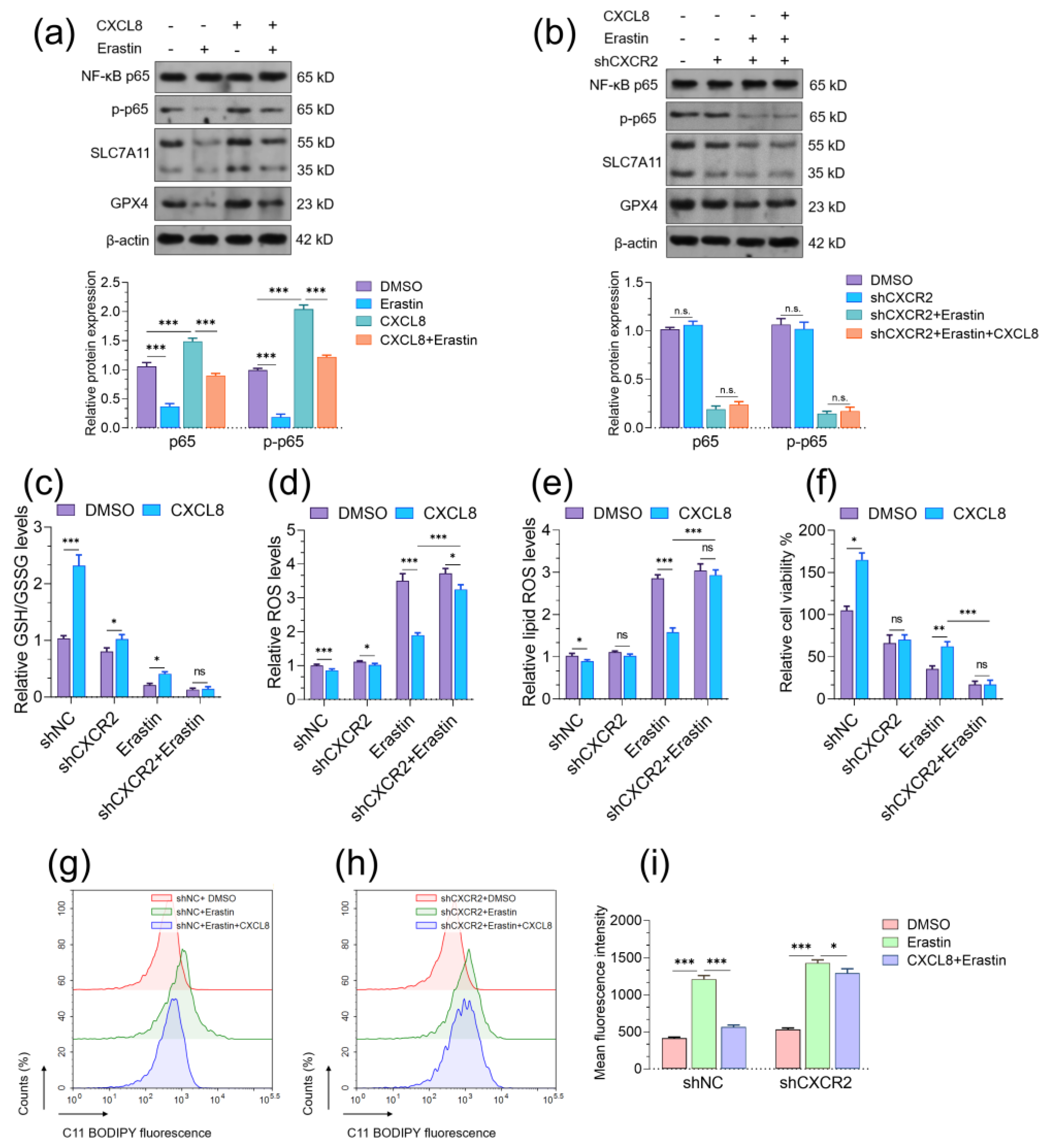 Pharmaceuticals 16 01210 g007