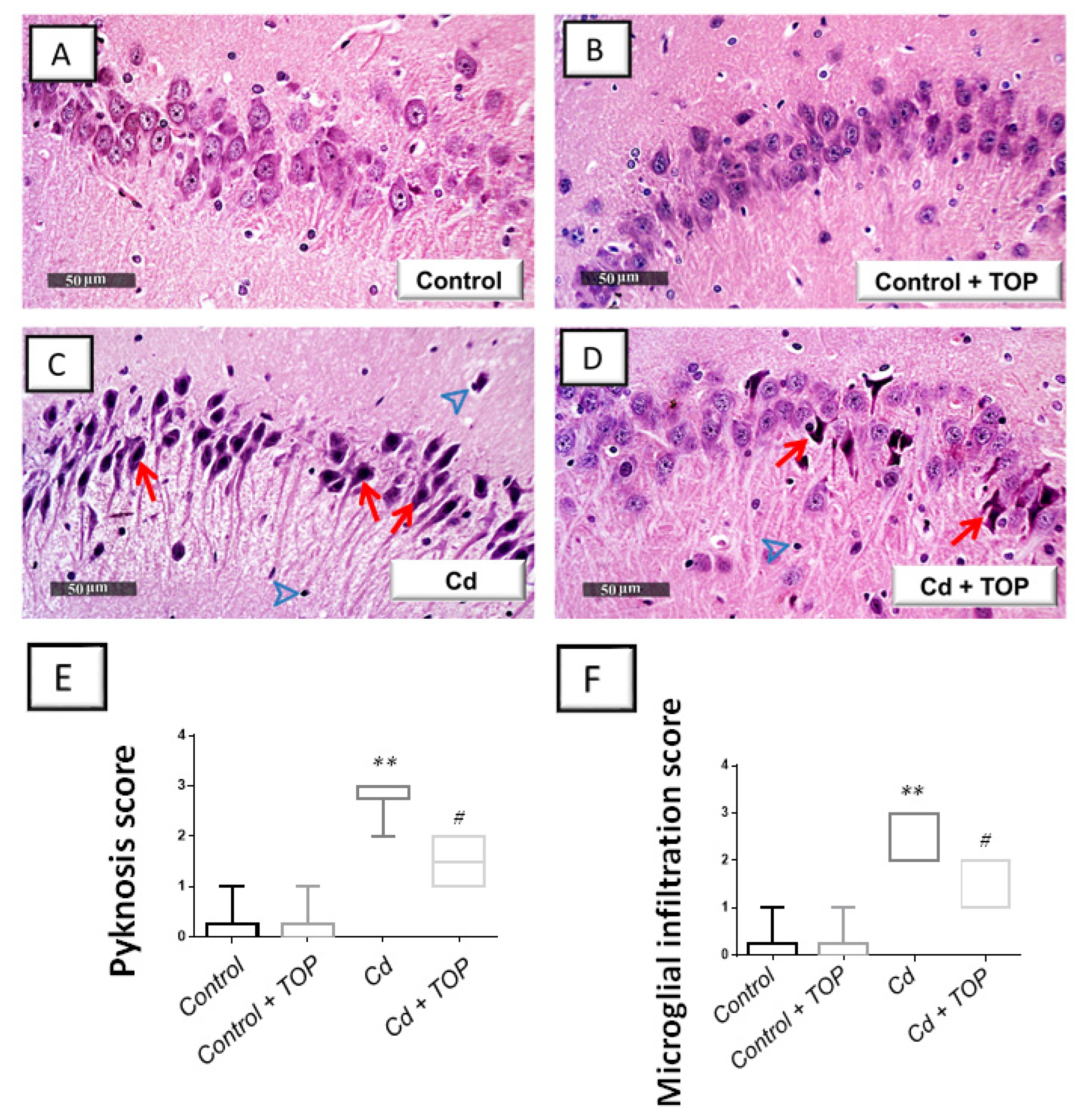 Pharmaceuticals 16 01214 g002
