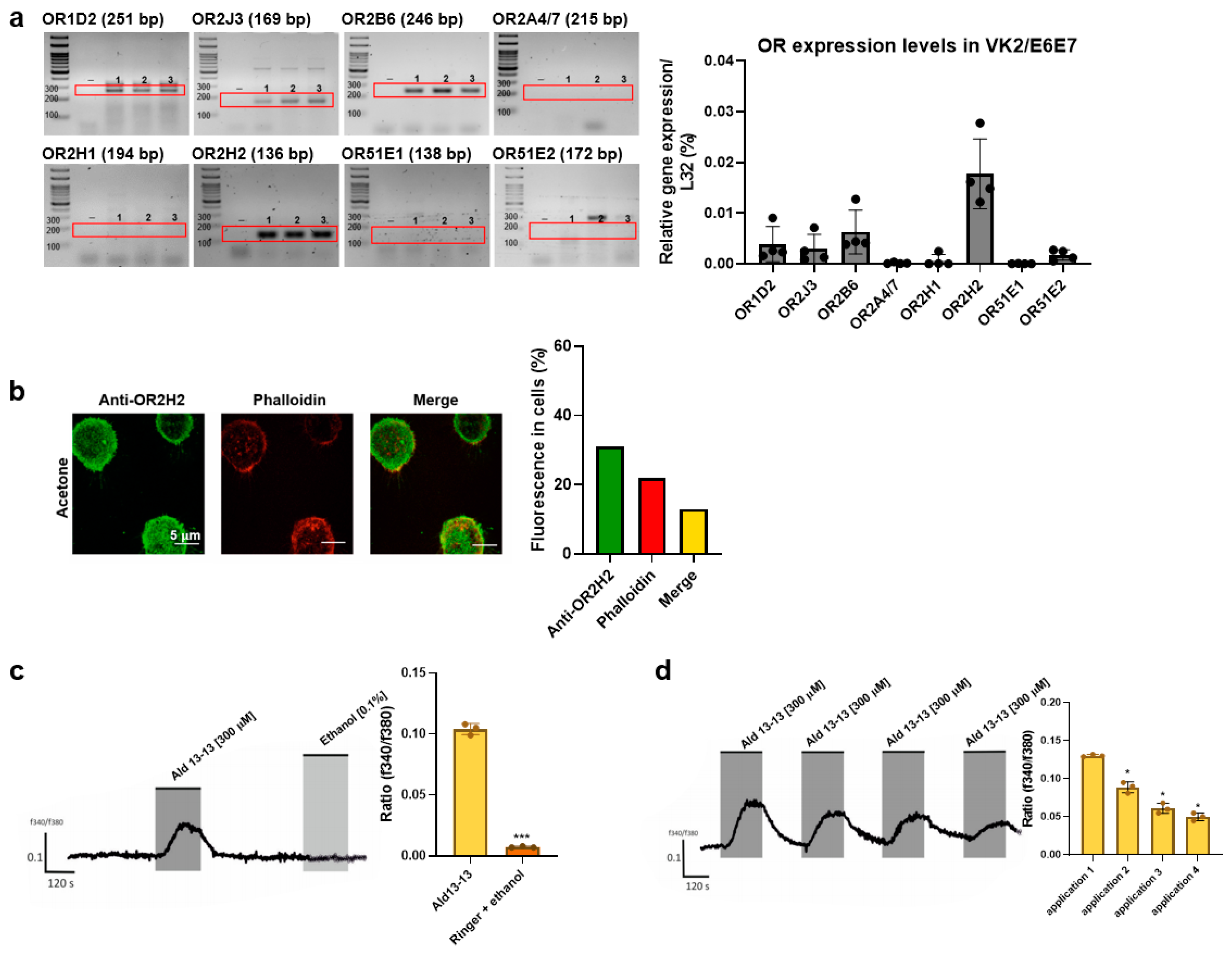Pharmaceuticals 16 01221 g001