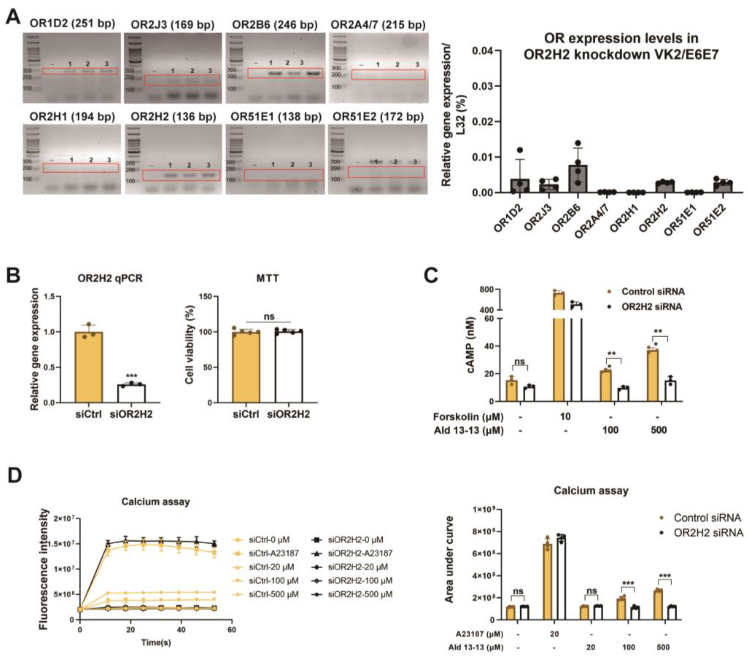 Pharmaceuticals 16 01221 g002