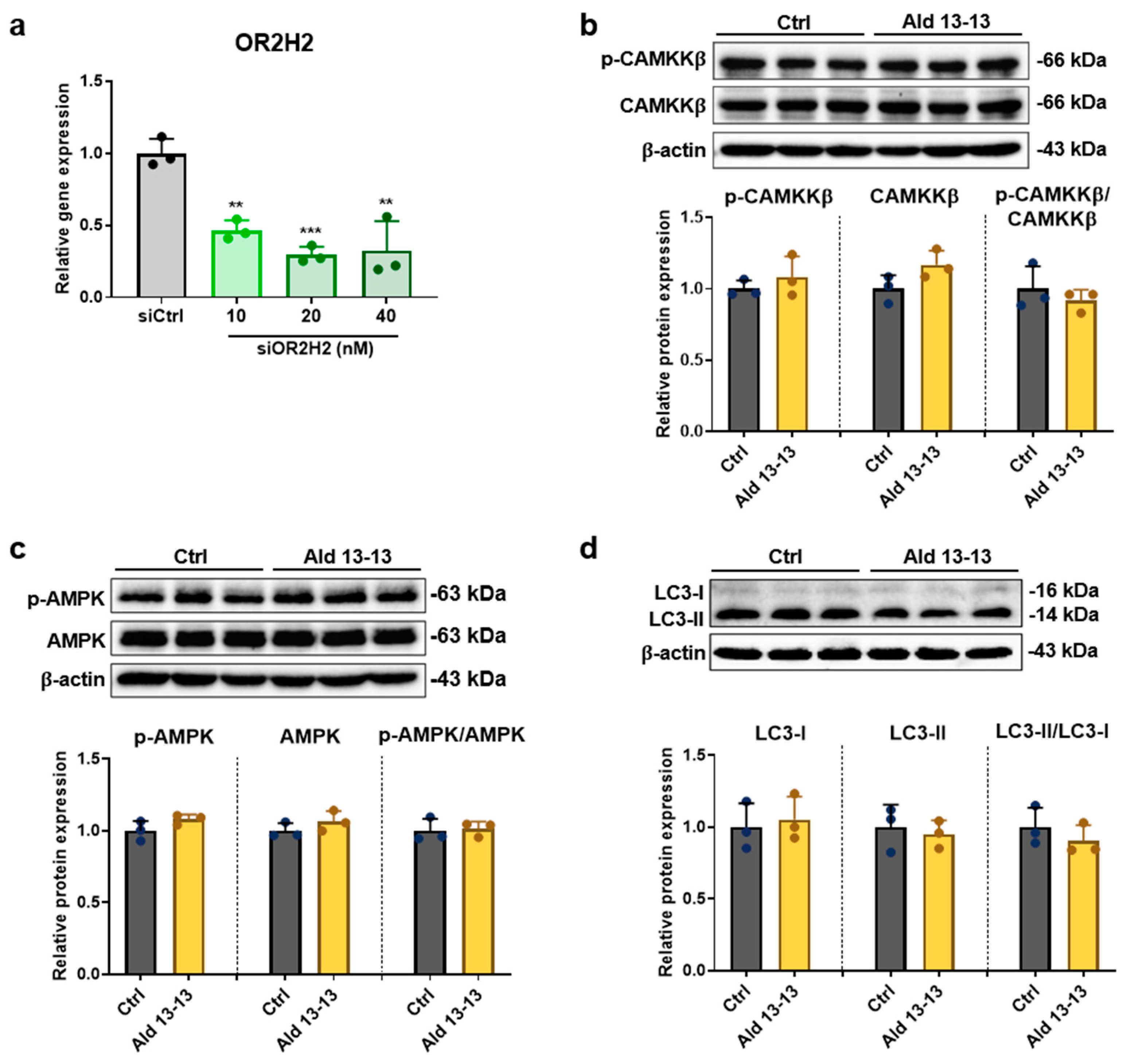 Pharmaceuticals 16 01221 g006