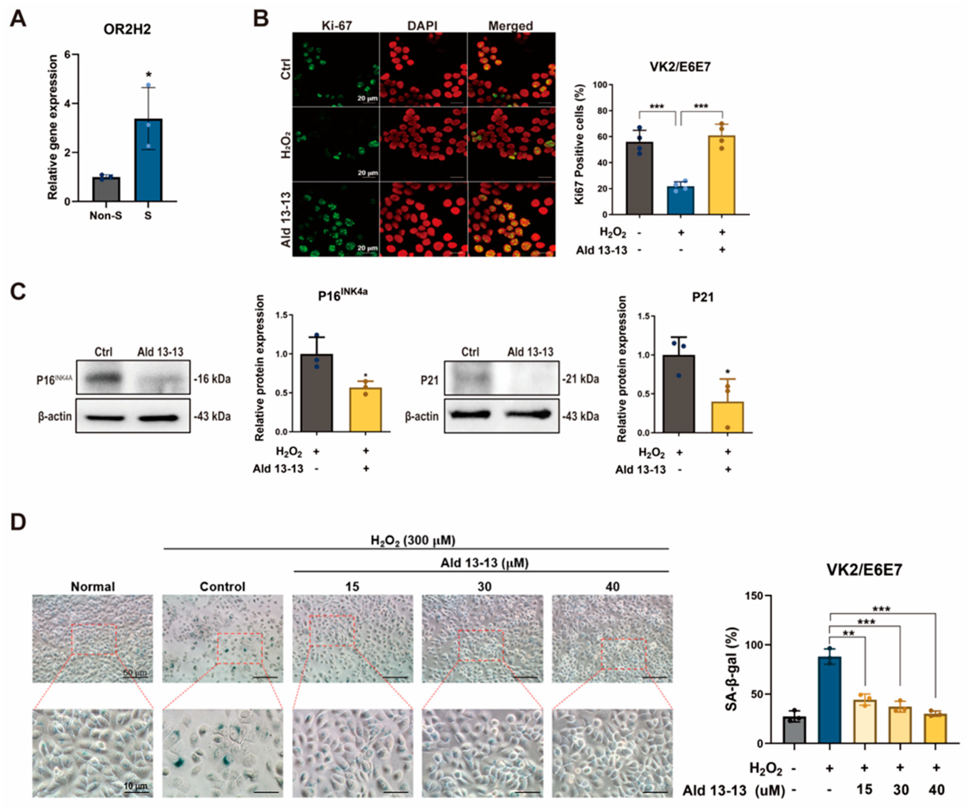 Pharmaceuticals 16 01221 g007