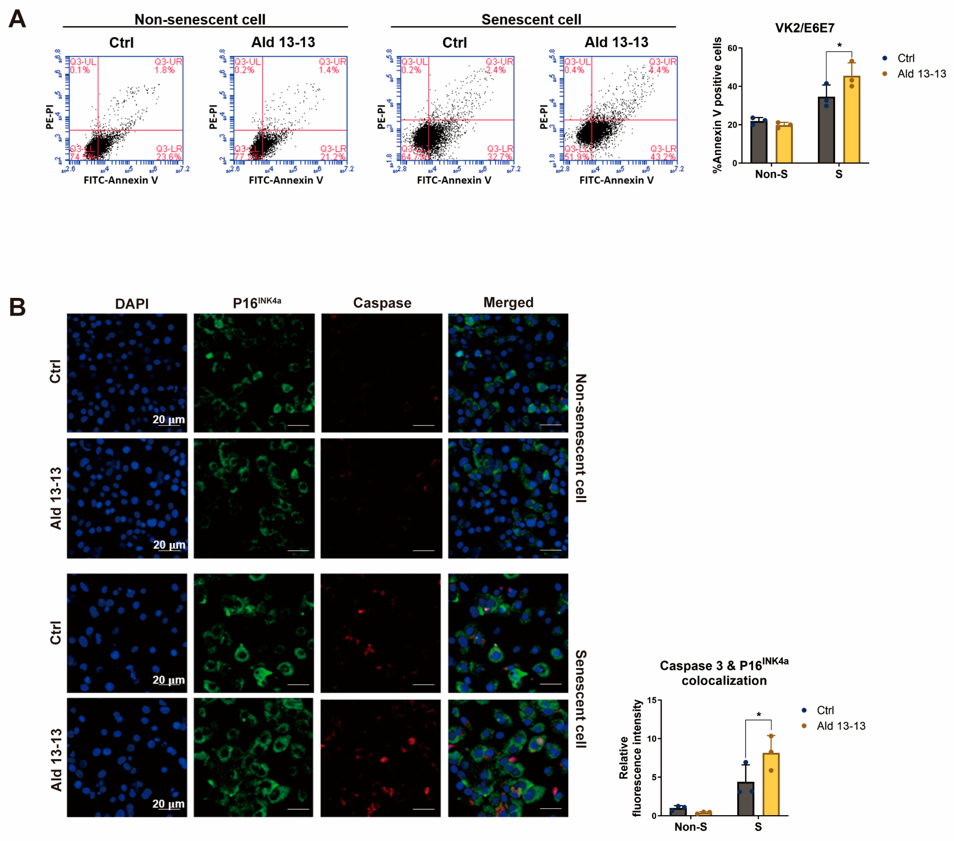 Pharmaceuticals 16 01221 g008
