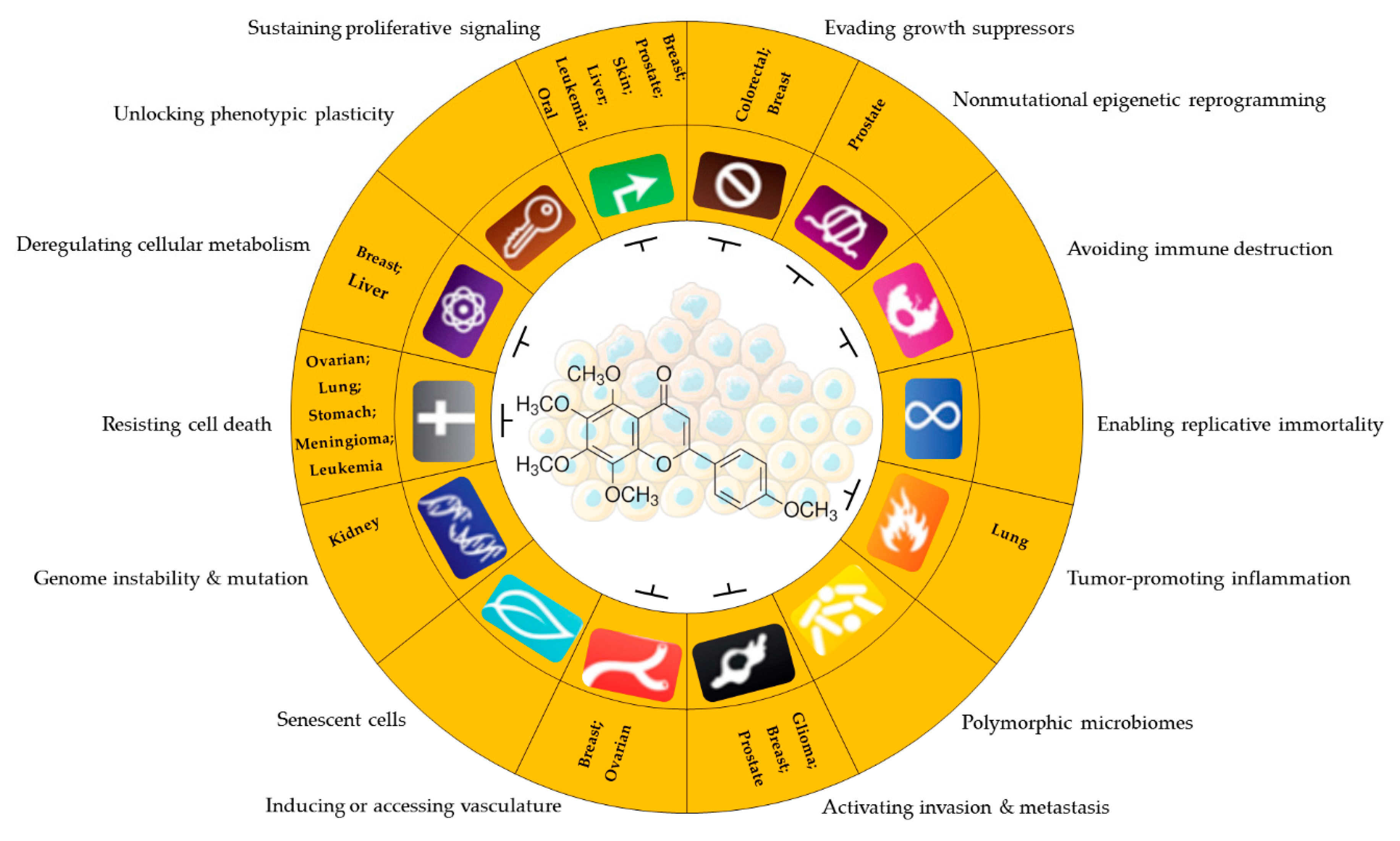 Pharmaceuticals 16 01229 g005 Pharmaceuticals 16 01229 g005