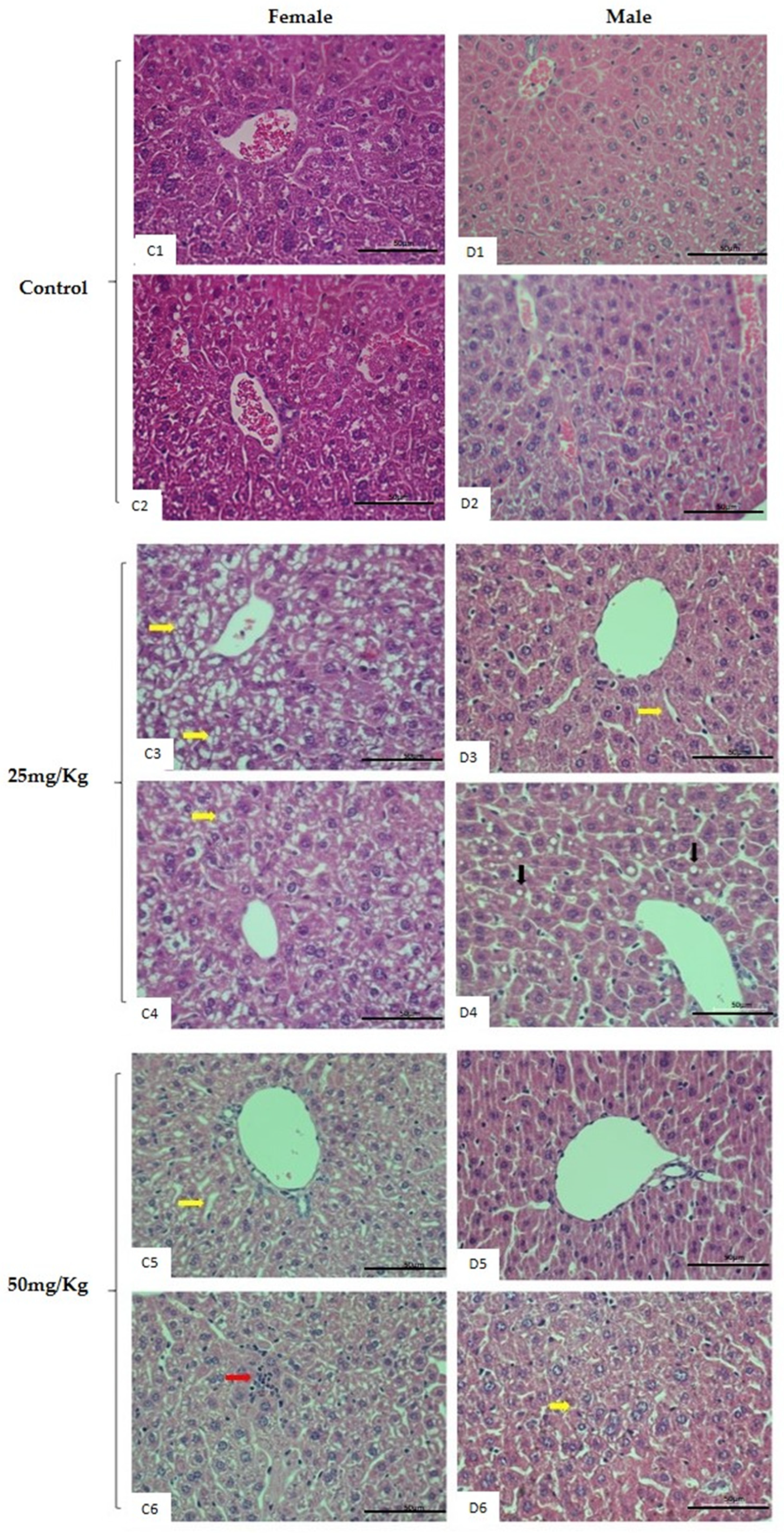Pharmaceuticals 16 01232 g005 Pharmaceuticals 16 01232 g005