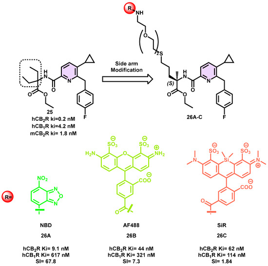 Rational Design, Synthesis, and Evaluation of Fluorescent