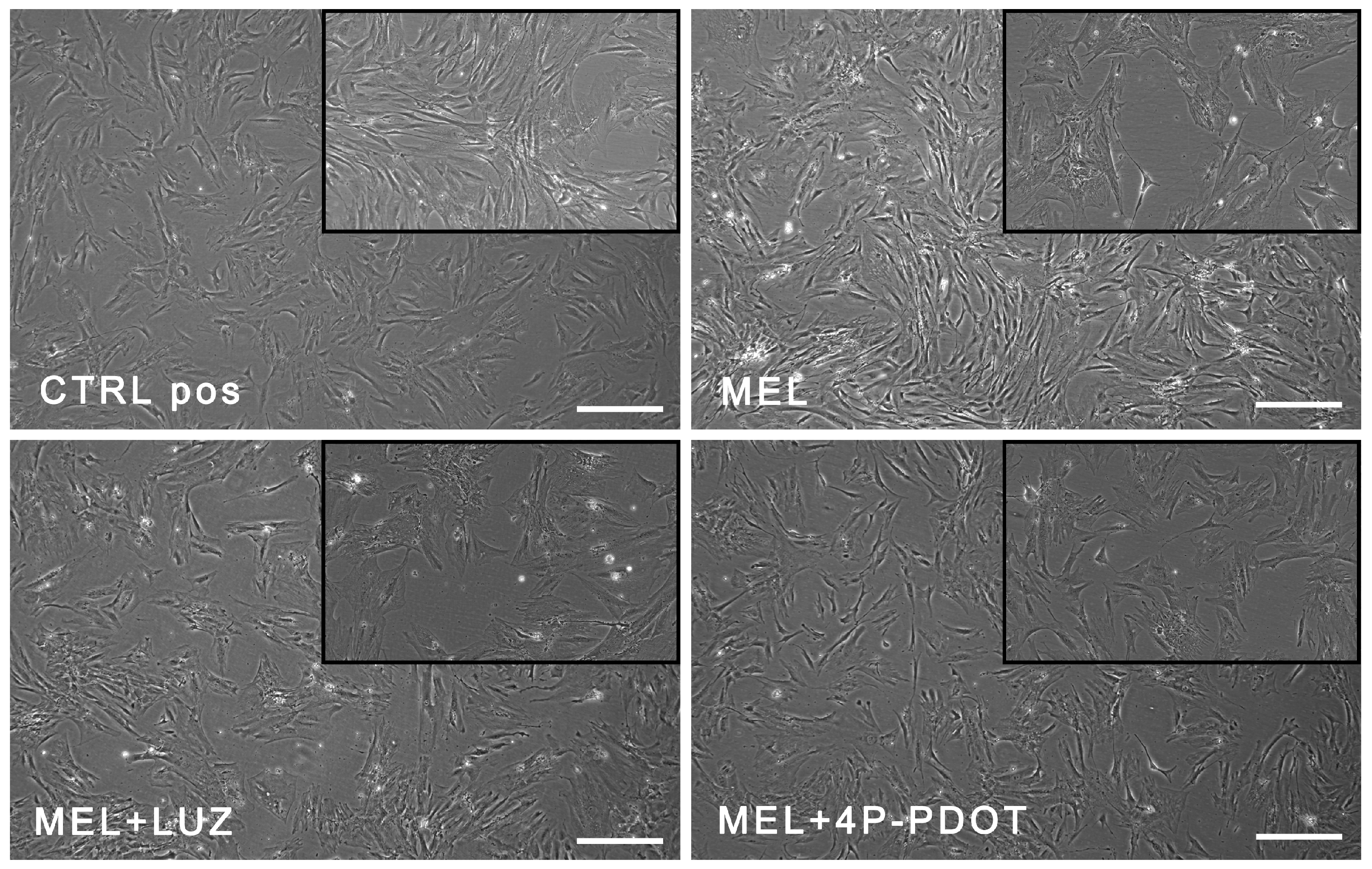 Pharmaceuticals 16 01236 g002