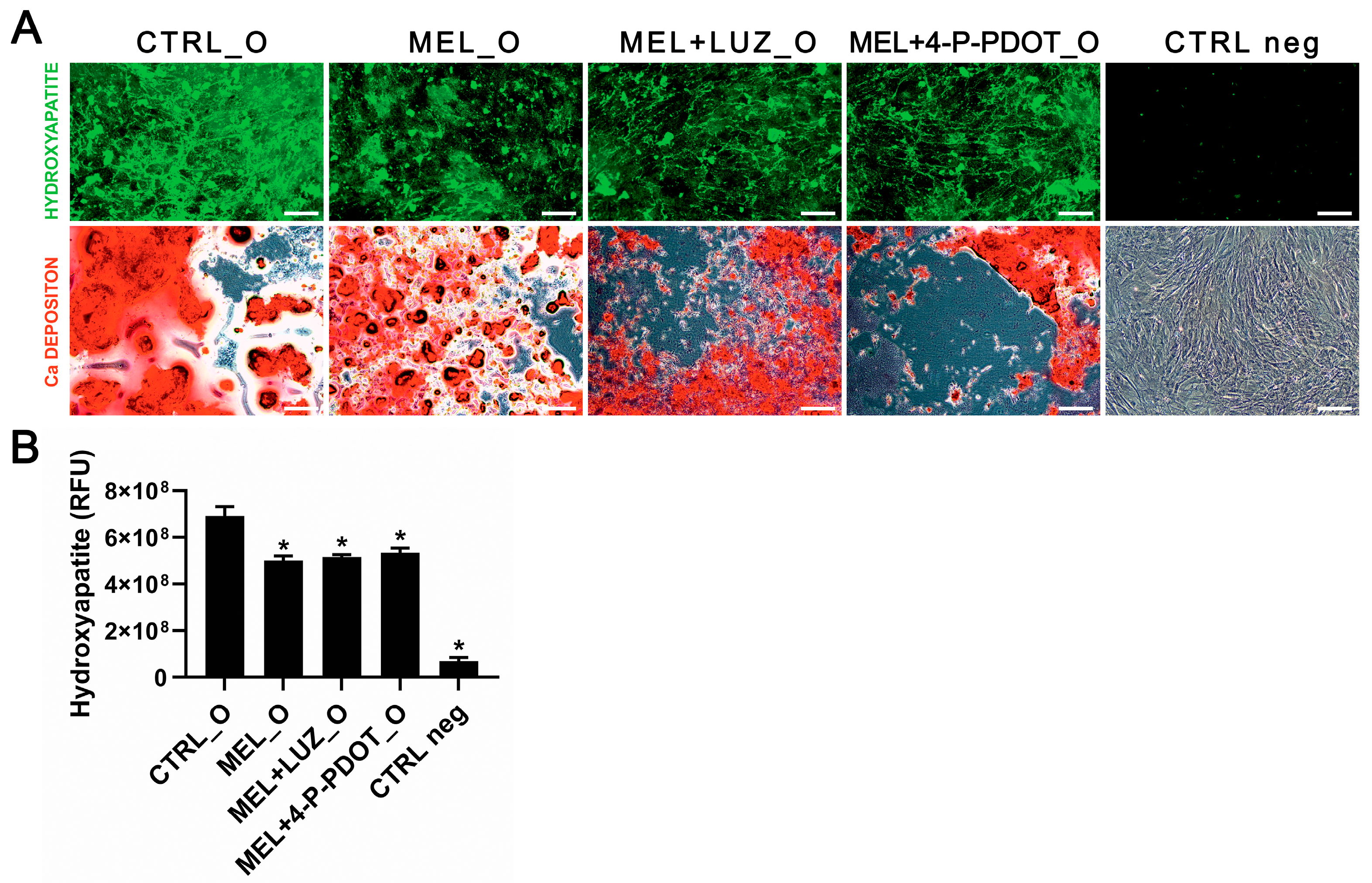 Pharmaceuticals 16 01236 g008