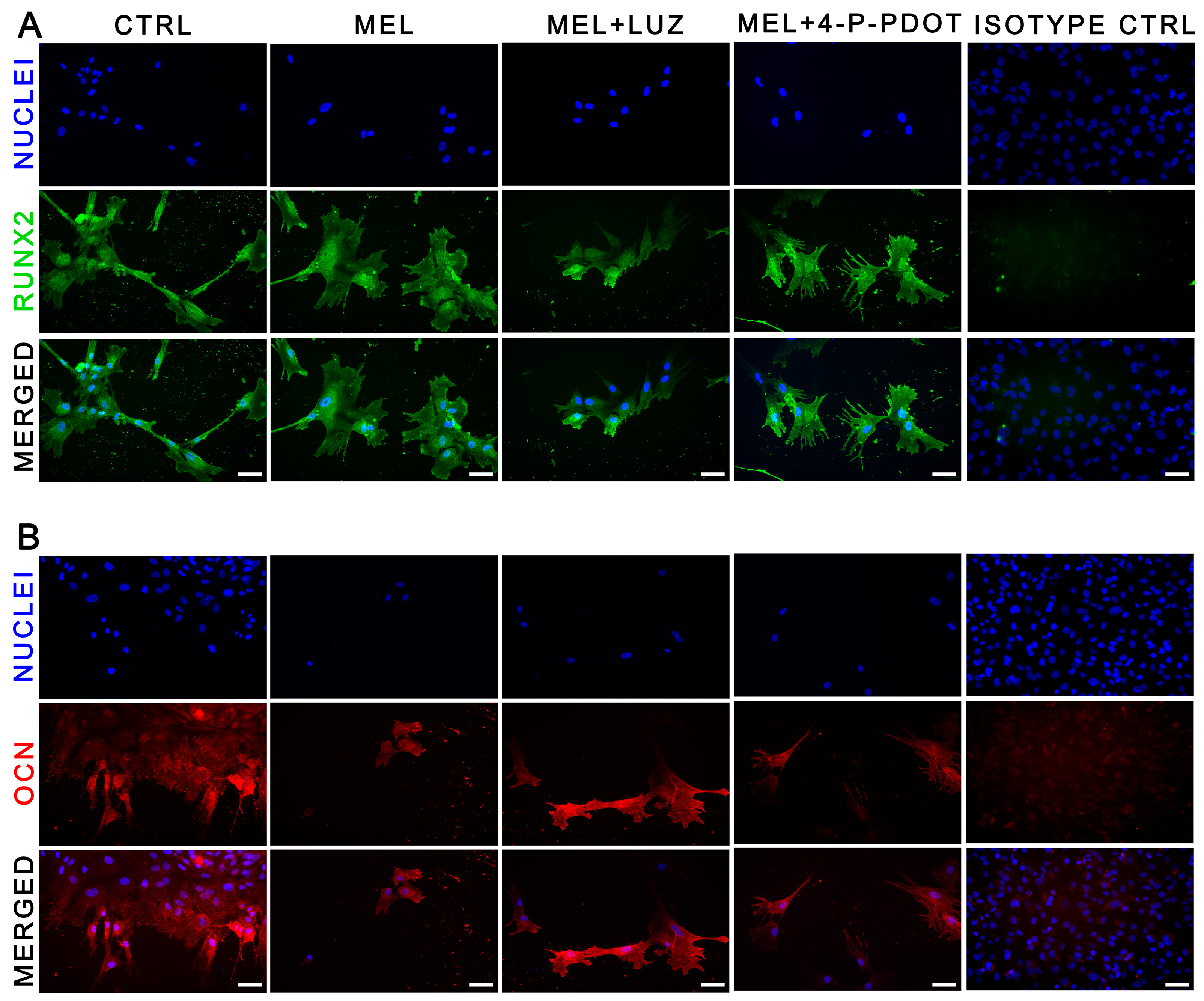 Pharmaceuticals 16 01236 g011