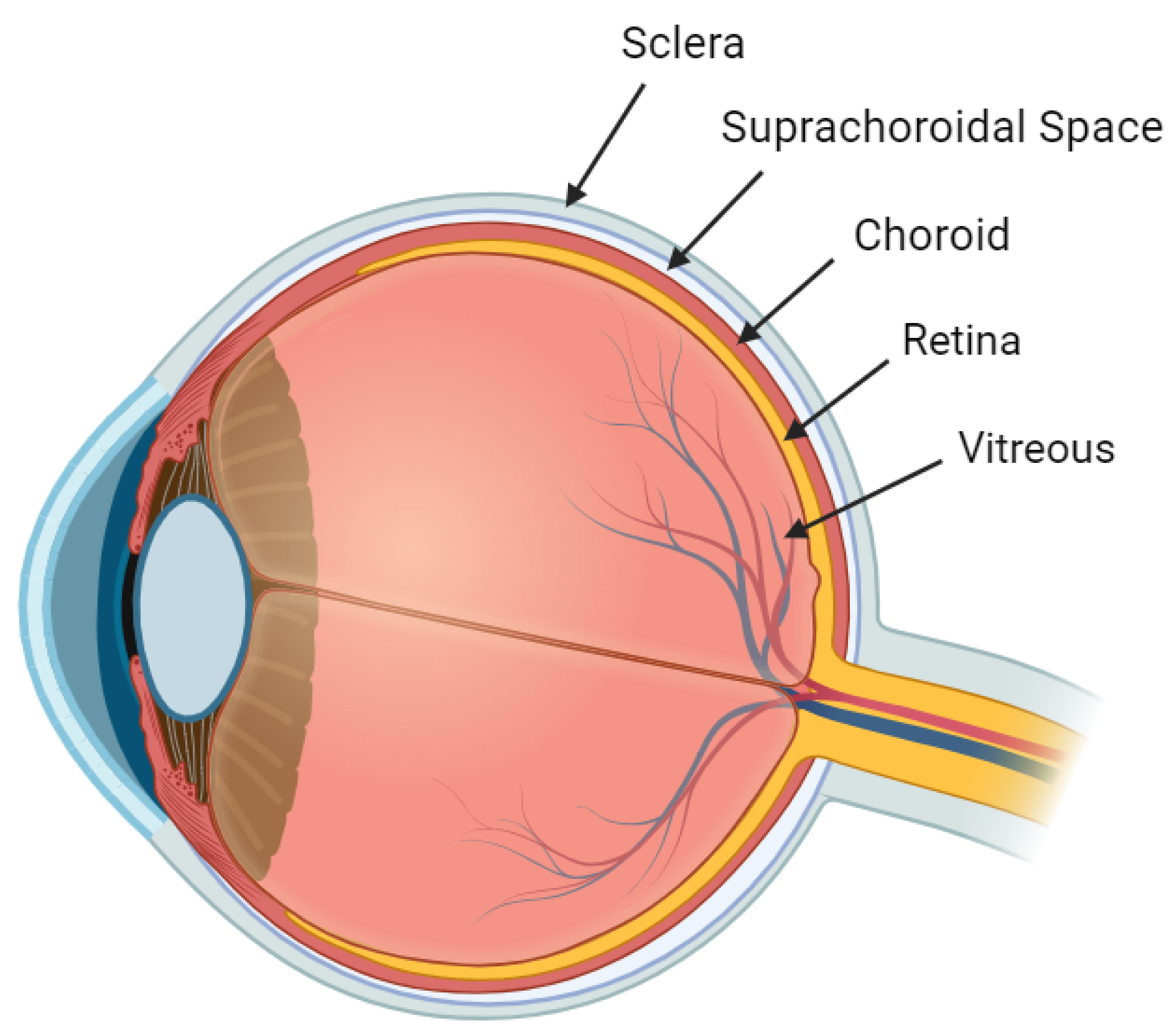 Pharmaceuticals 16 01241 g002