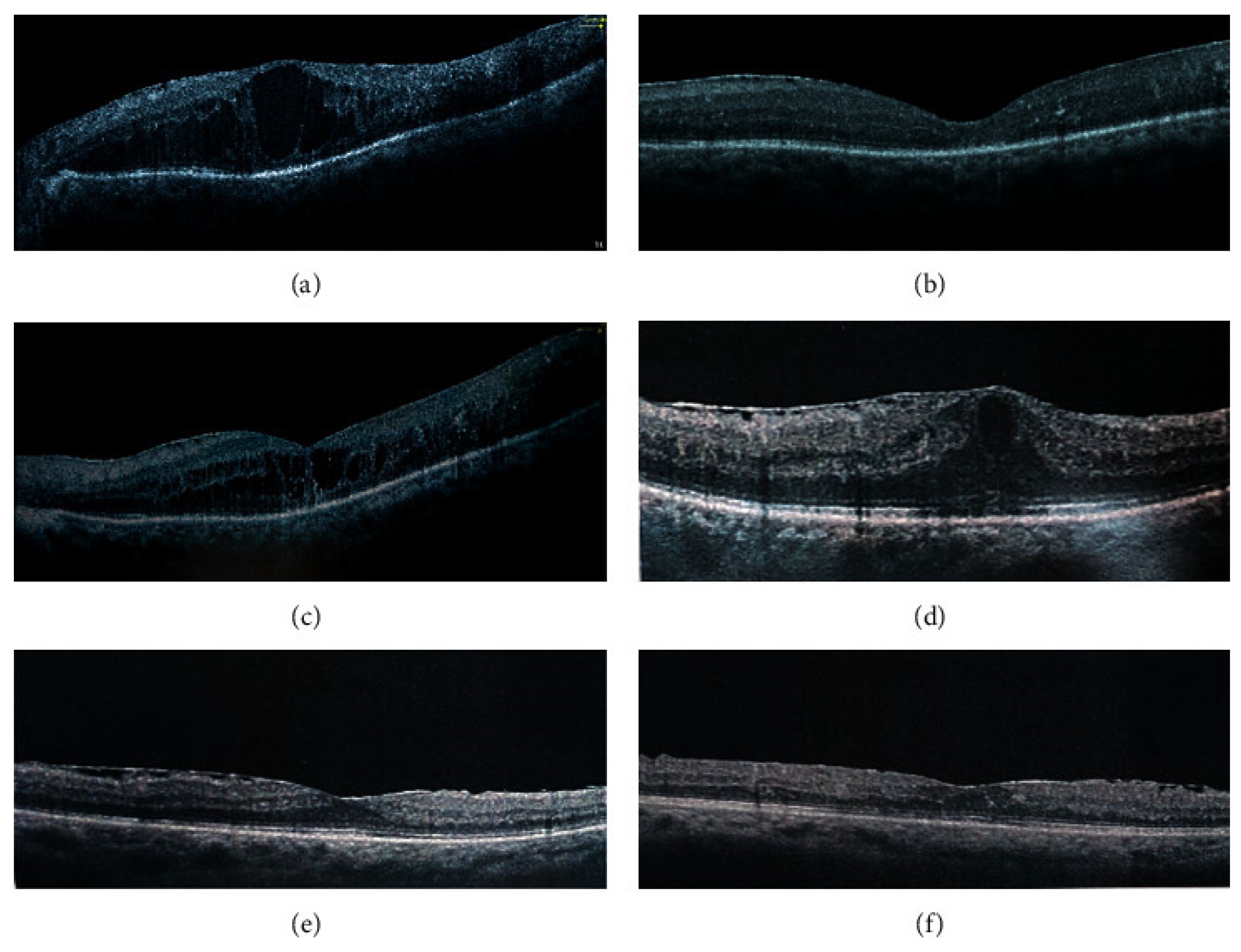 Pharmaceuticals 16 01241 g005