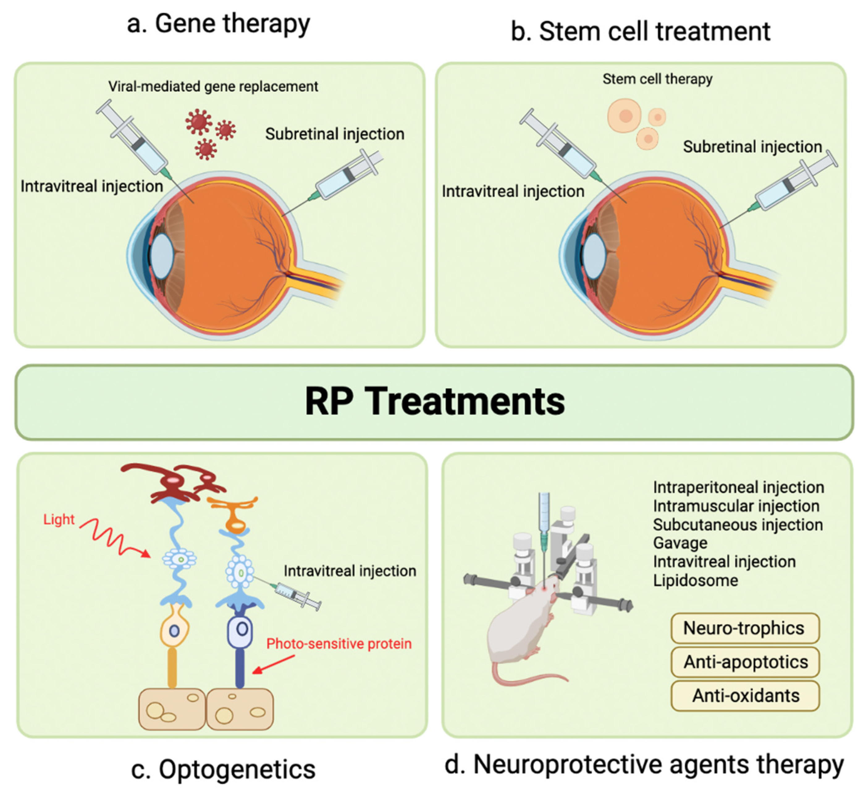 Pharmaceuticals 16 01241 g006