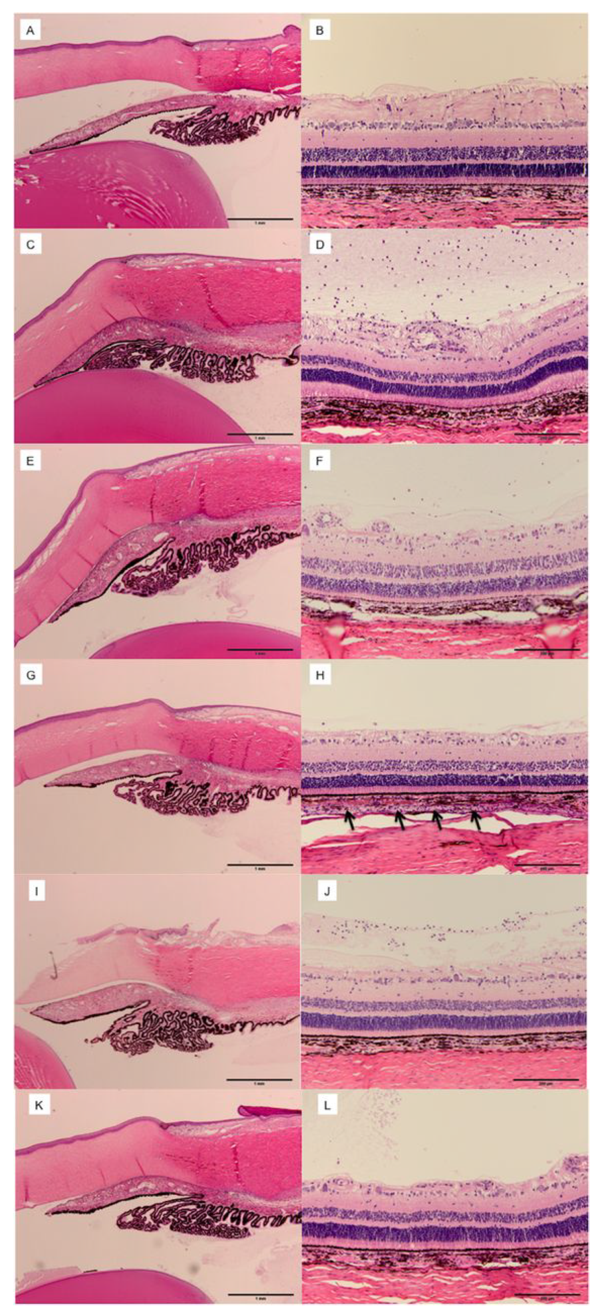 Pharmaceuticals 16 01241 g007