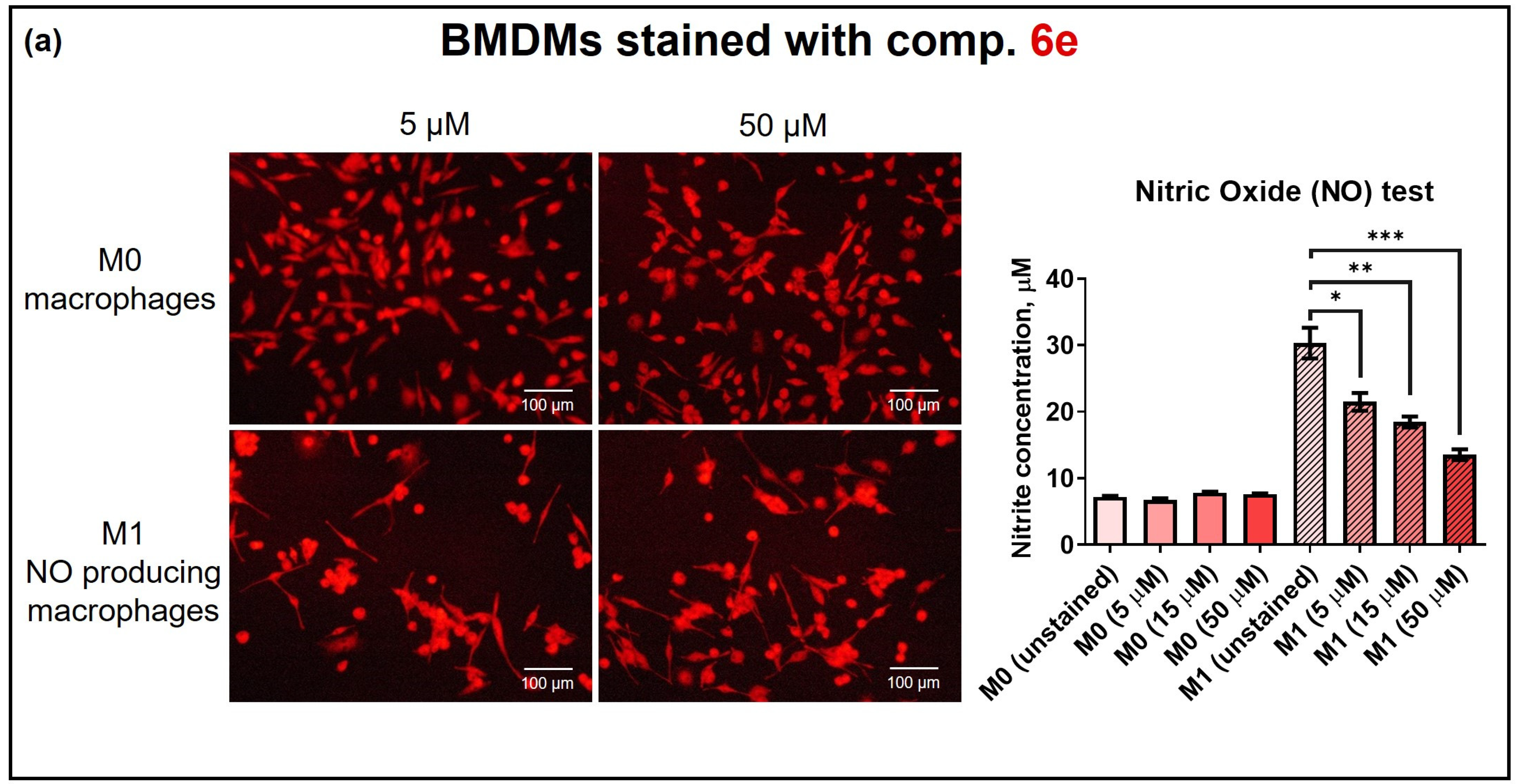 Pharmaceuticals 16 01245 g007a