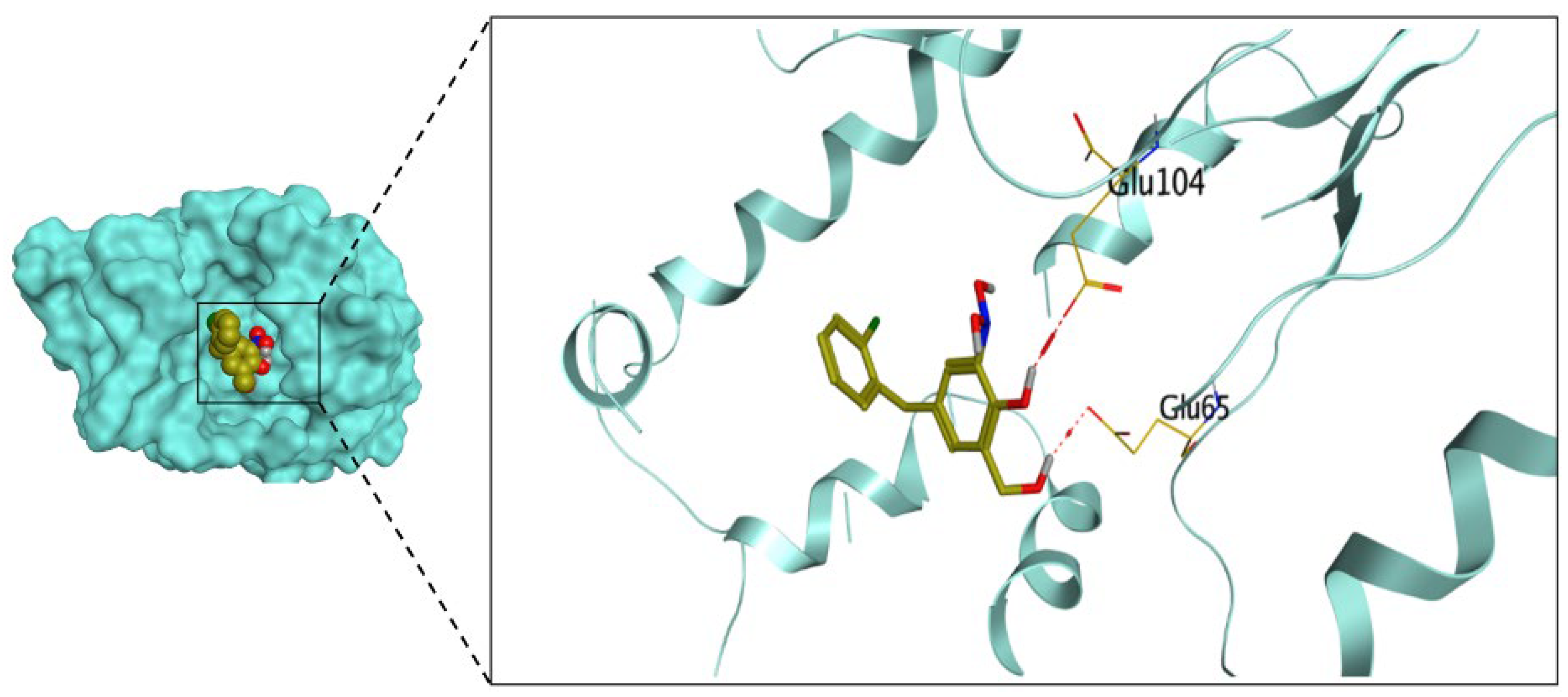 Pharmaceuticals 16 01247 g003 Pharmaceuticals 16 01247 g003