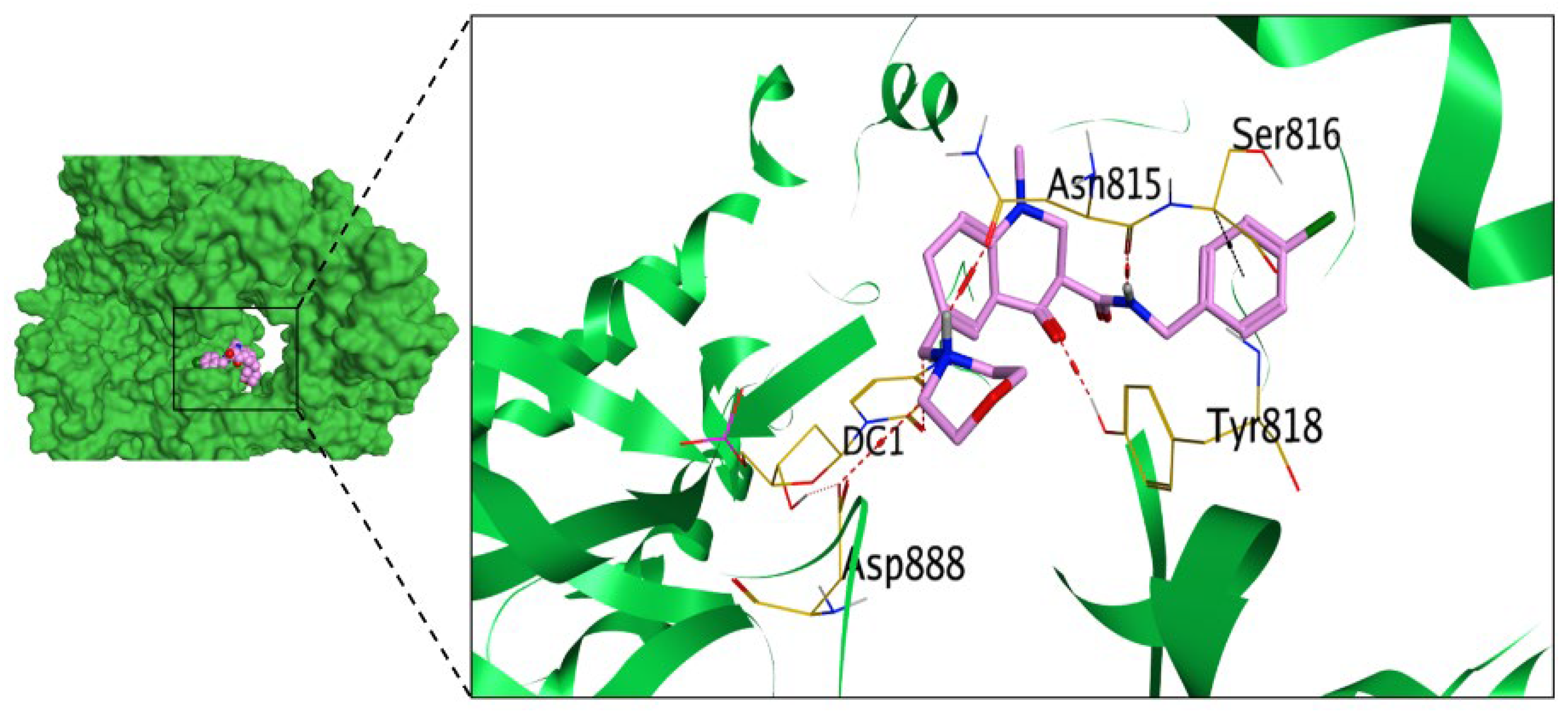 Pharmaceuticals 16 01247 g005 Pharmaceuticals 16 01247 g005
