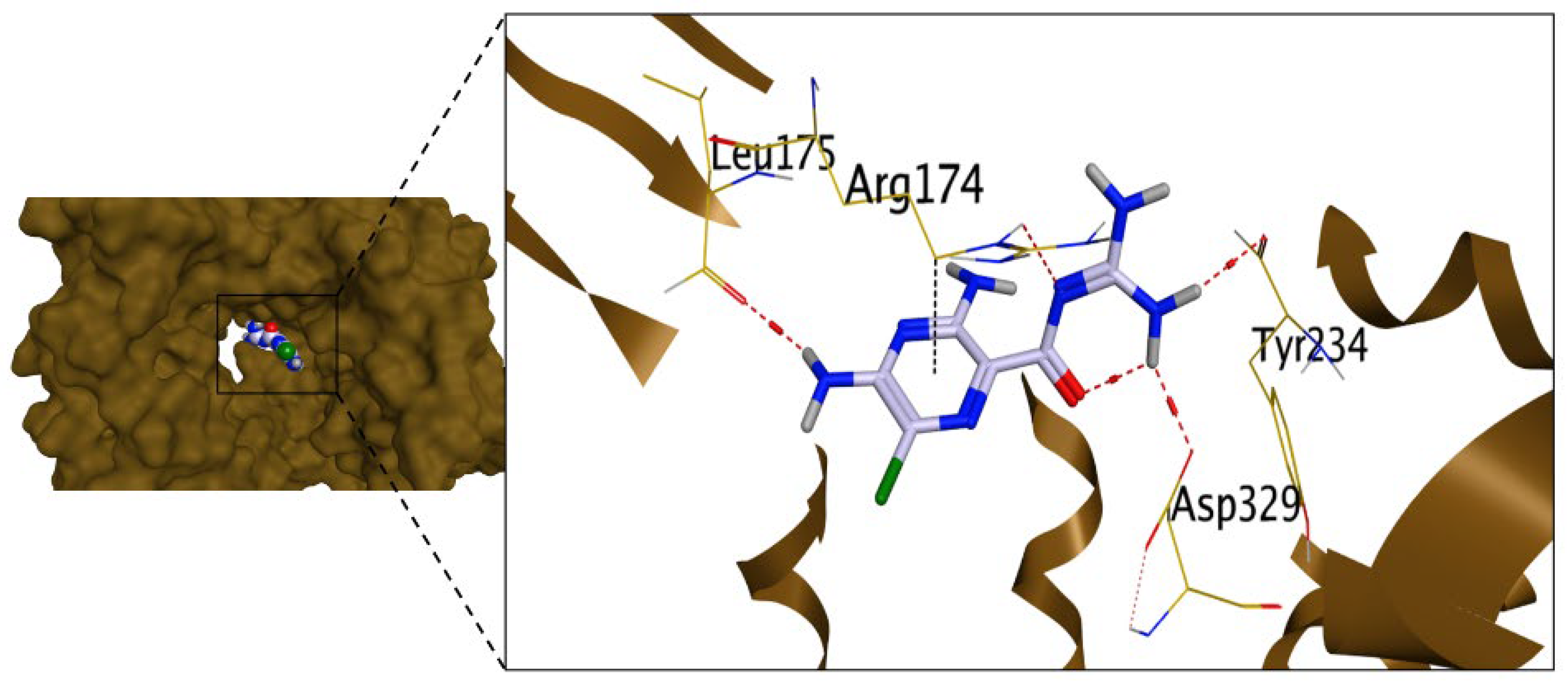 Pharmaceuticals 16 01247 g007 Pharmaceuticals 16 01247 g007